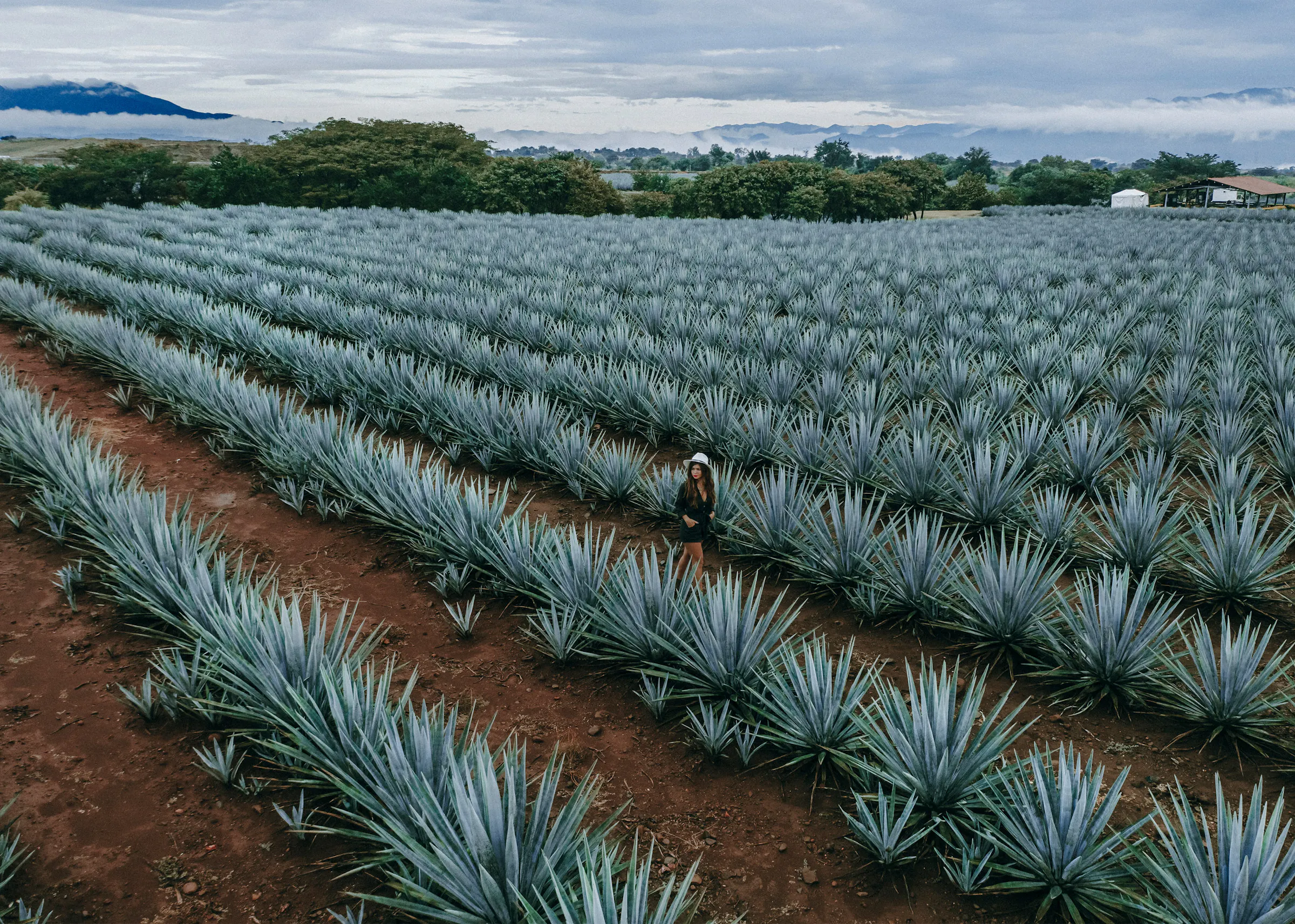 Mexico