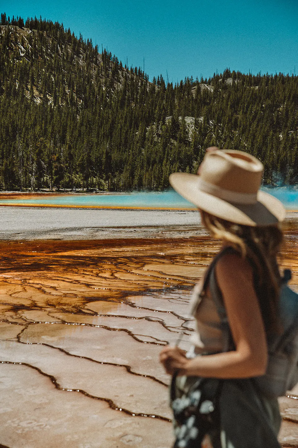 Beyond the Road Trip: 5 Memorable Ways to Travel Across America