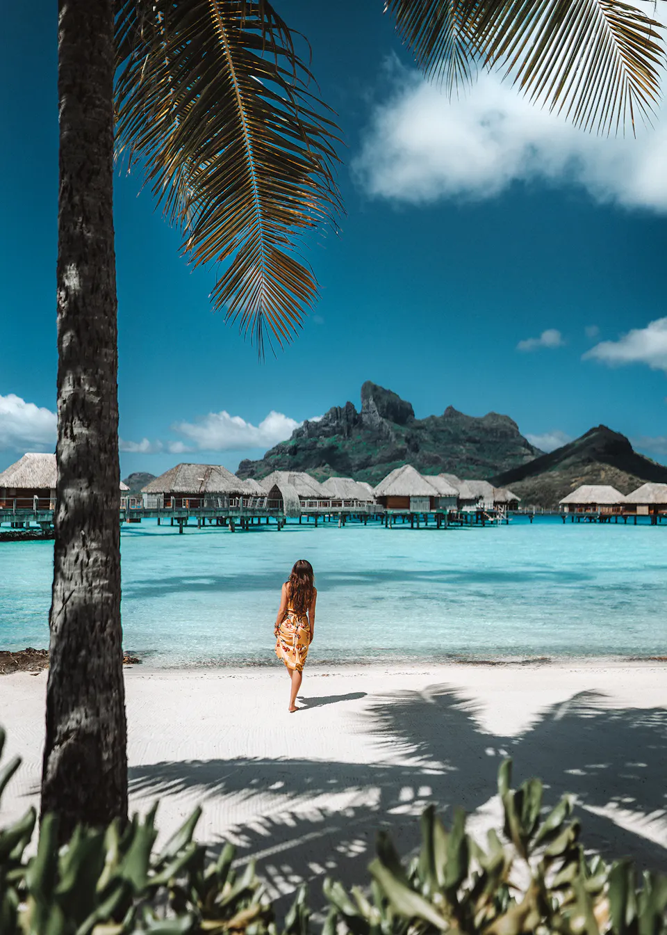 Travel Planning and Safety Tips Every Luxury Traveler Should Know