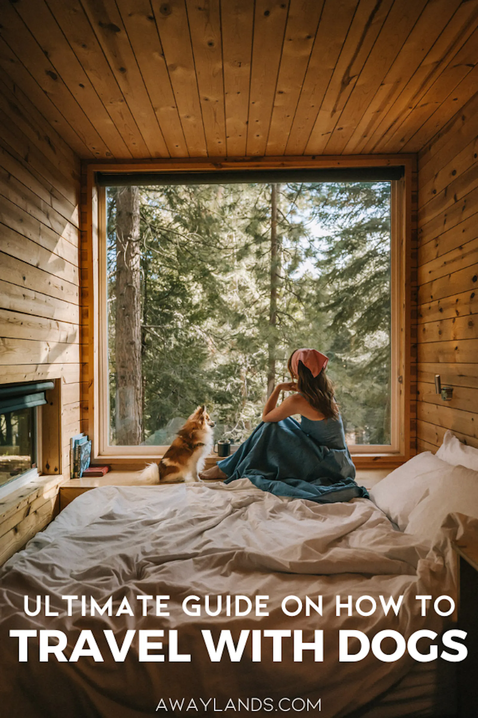 Traveling with your dog can be the trip of a lifetime if you plan right. Whether you’re heading out for a weekend getaway or a cross-country road trip, this guide covers everything you need: from pet-friendly accommodations and smart pet transport advice to the best pet friendly spots to stop. Get your pup-ready for adventure with tips that keep both of you safe, comfortable, and having fun. | travel with dogs | pet-friendly hotels | dog road trip tips | how to travel with your dog