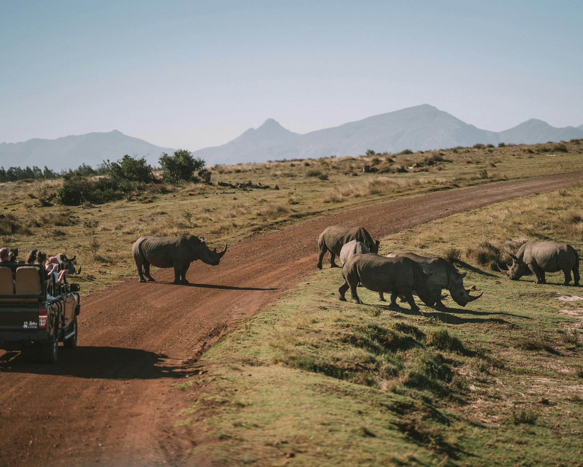 south africa safari near cape town