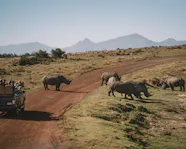 On Safari Near Cape Town Gondwana Game Reserve South Africa Away Lands