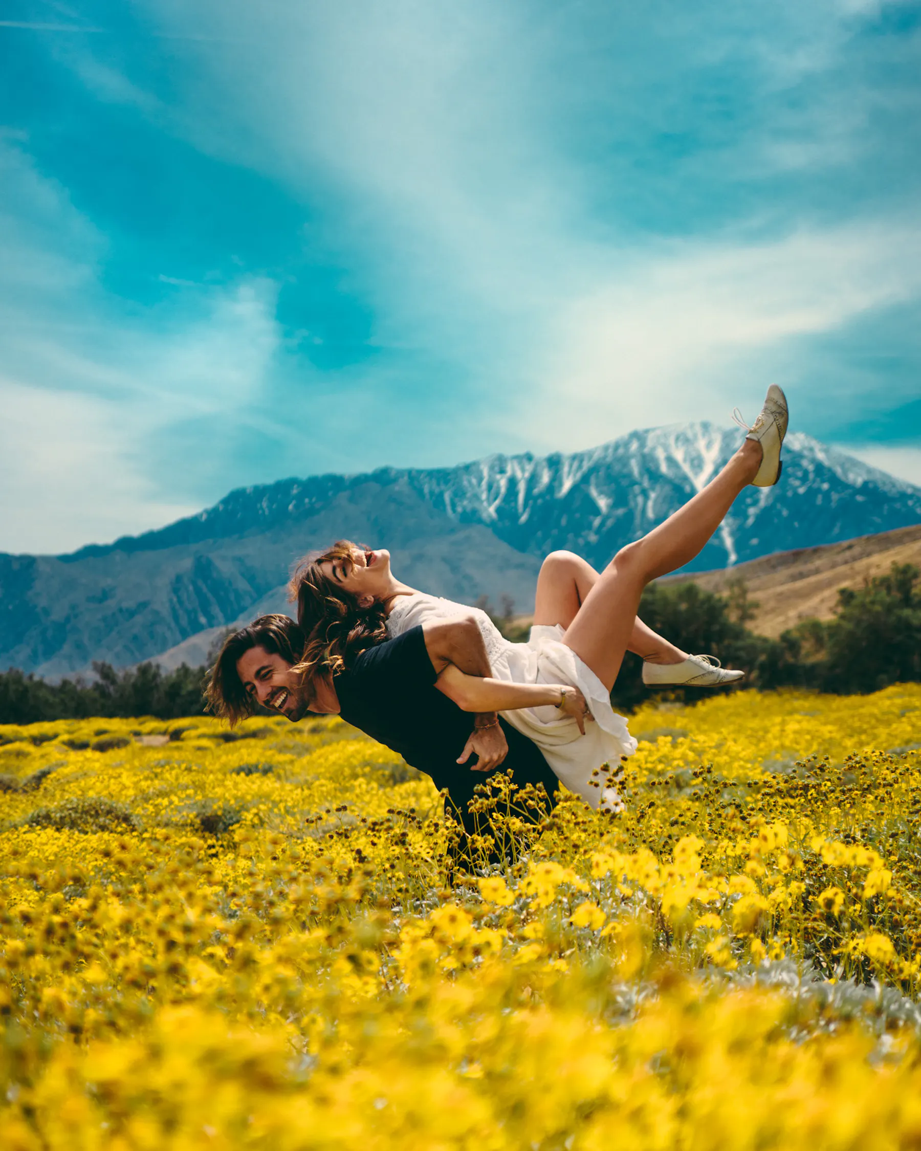 Blooms In The Coachella Valley