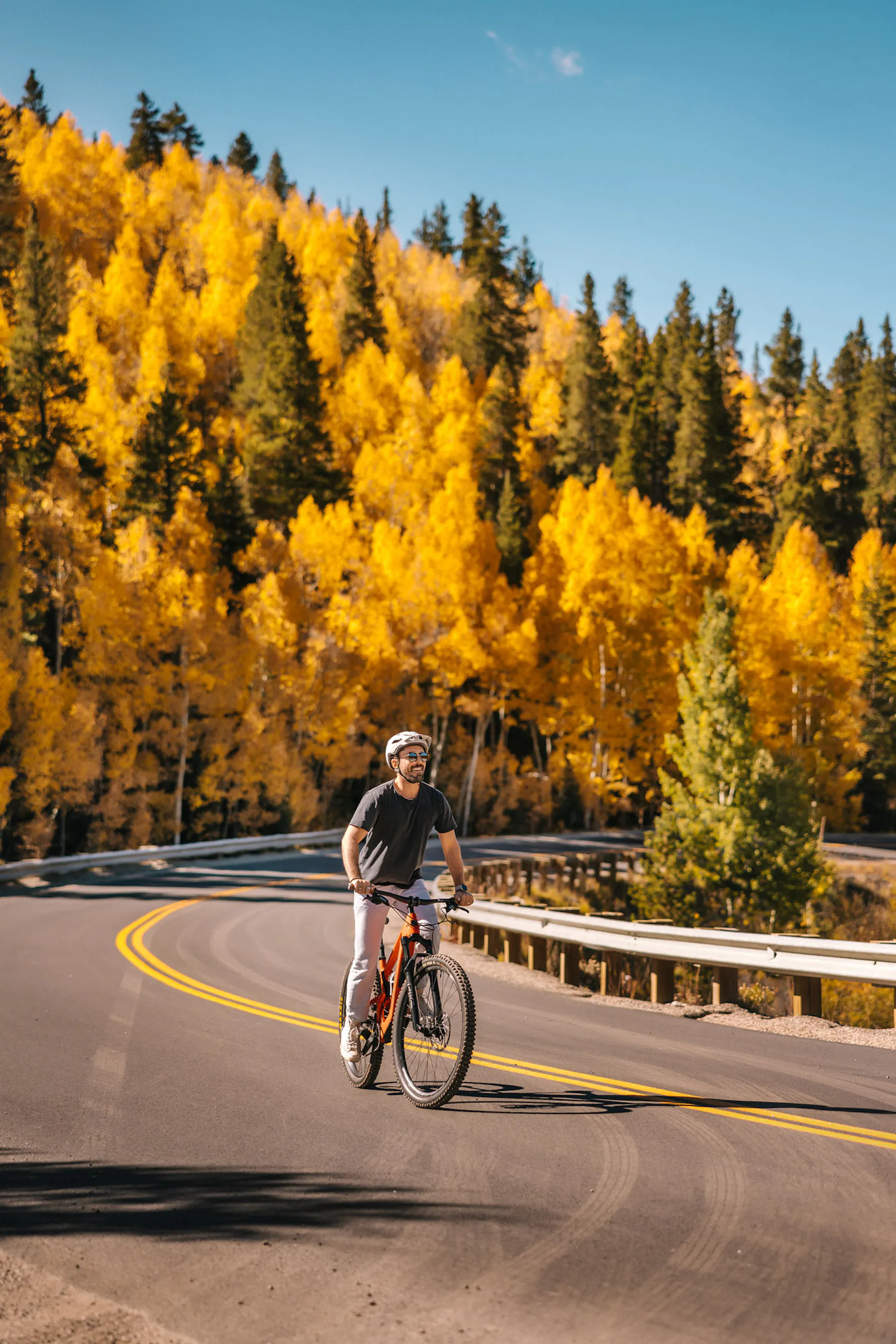 Which Mountain Bike Is Better for Your Next Adventure? Hardtail vs Full-Suspension Mountain Bikes