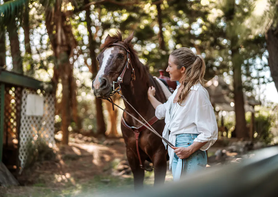 Exploring Countryside Regions Famous for Horse Breeding