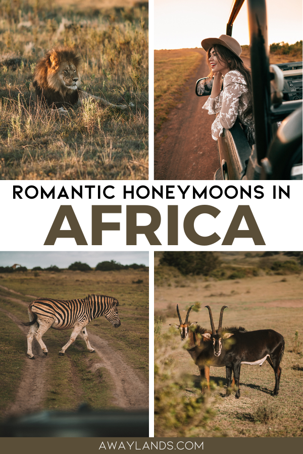 A luxury safari honeymoon in Africa is not only about wildlife; it is about the way adventure and romance merge seamlessly. These luxury safari destinations in Africa offer a balance of privacy, high-end accommodation, expert guiding, and the kind of once-in-a-lifetime encounters that elevate a honeymoon or couple’s vacation into something unforgettable. | luxury safari trip | africa honeymoon safari | africa honeymoon destinations | luxury safari in africa | luxury african safaris