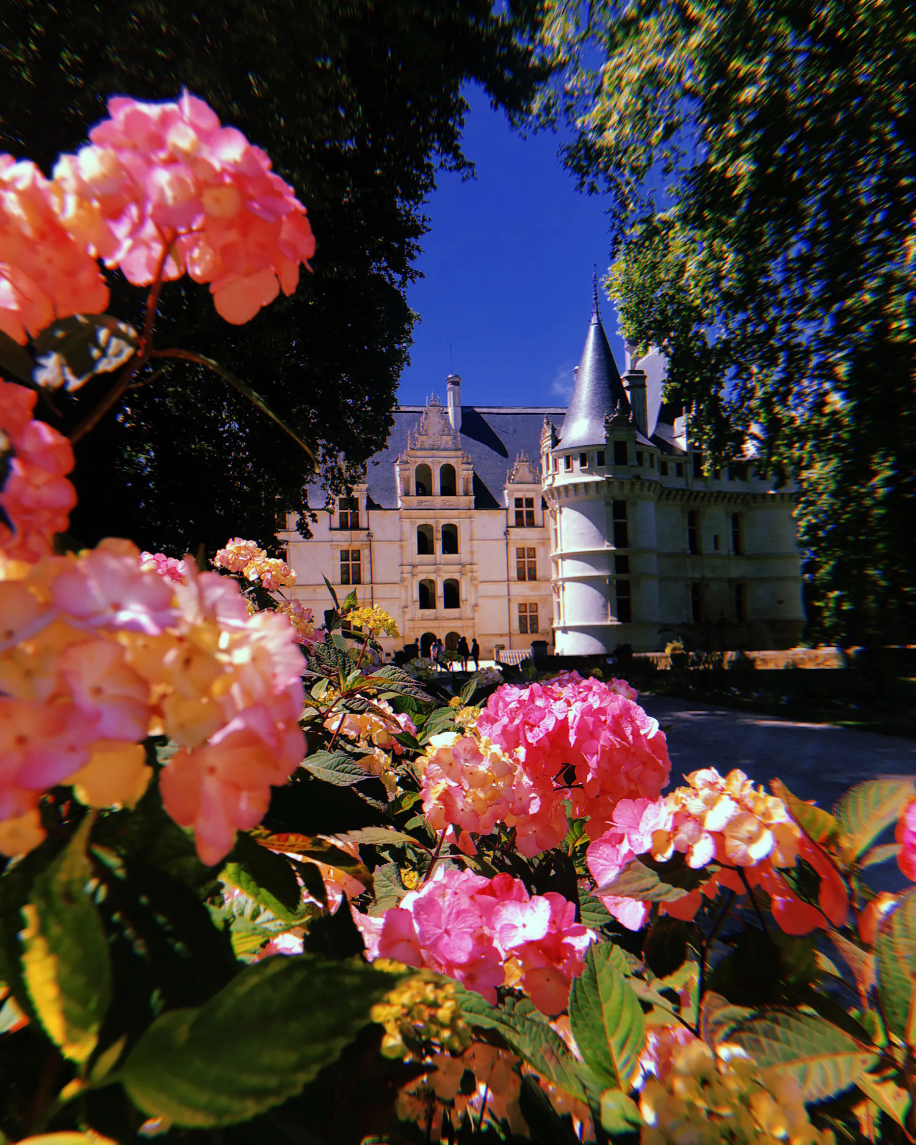 Loire Valley Road Trip Guide: Châteaux, Villages, Vineyards, and Scenic Routes