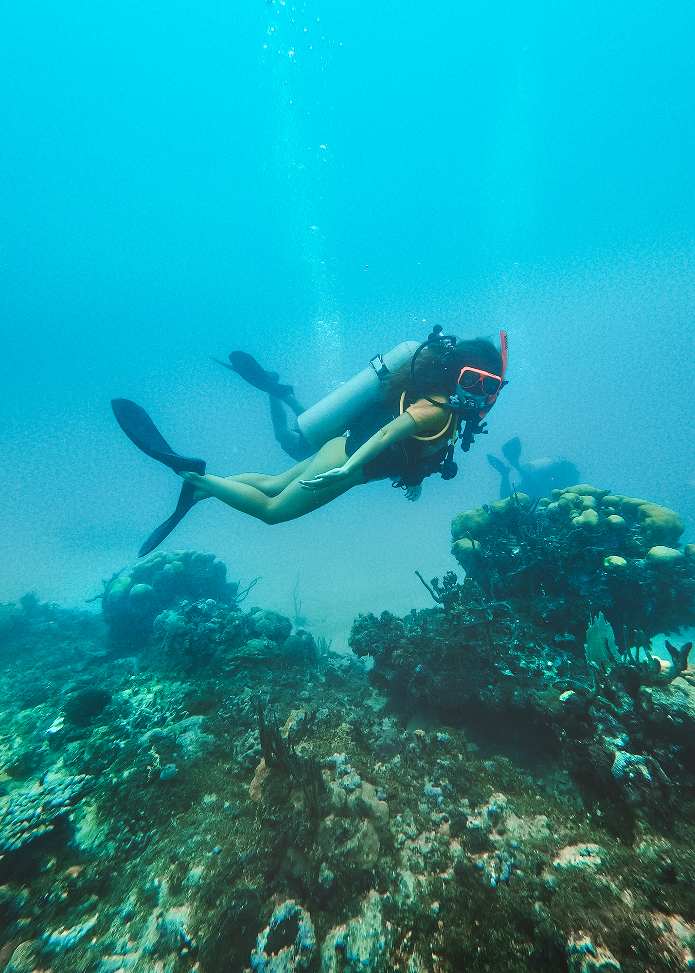 Scuba Diver PADI - Mexico Blue Dream