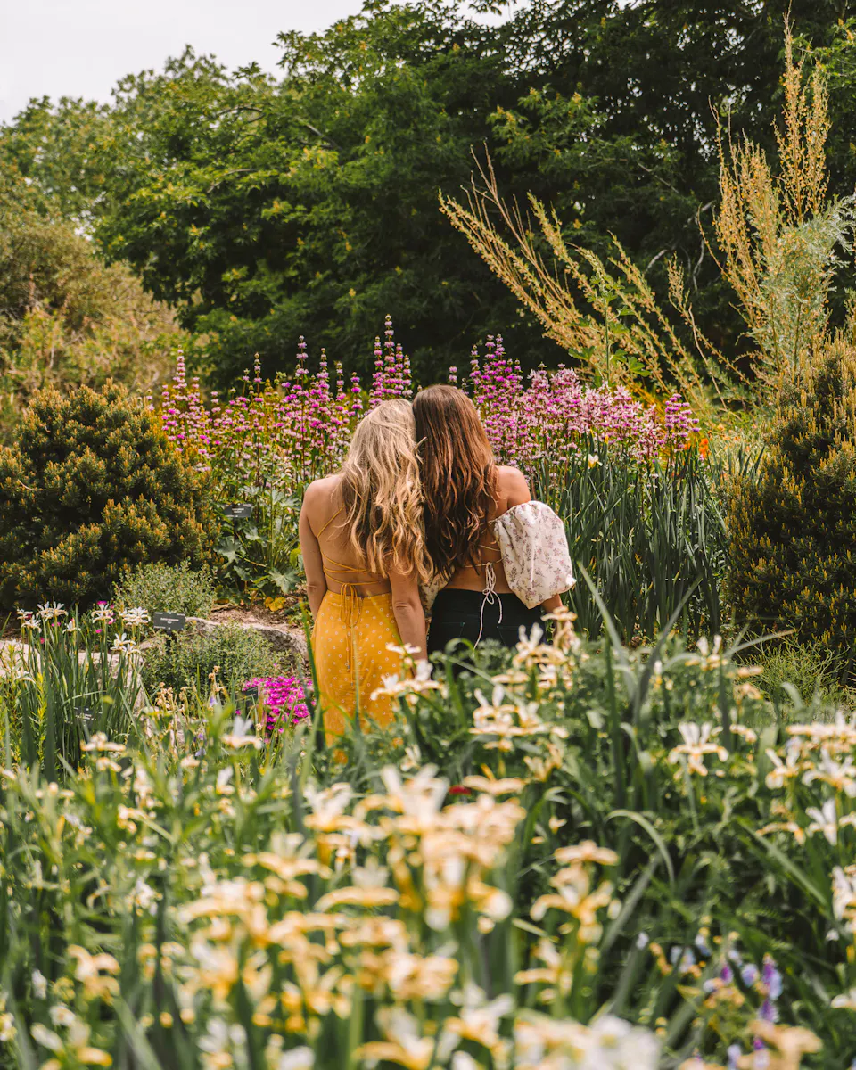 What’s Eating My Garden? How to Identify and Control Common Backyard Pests