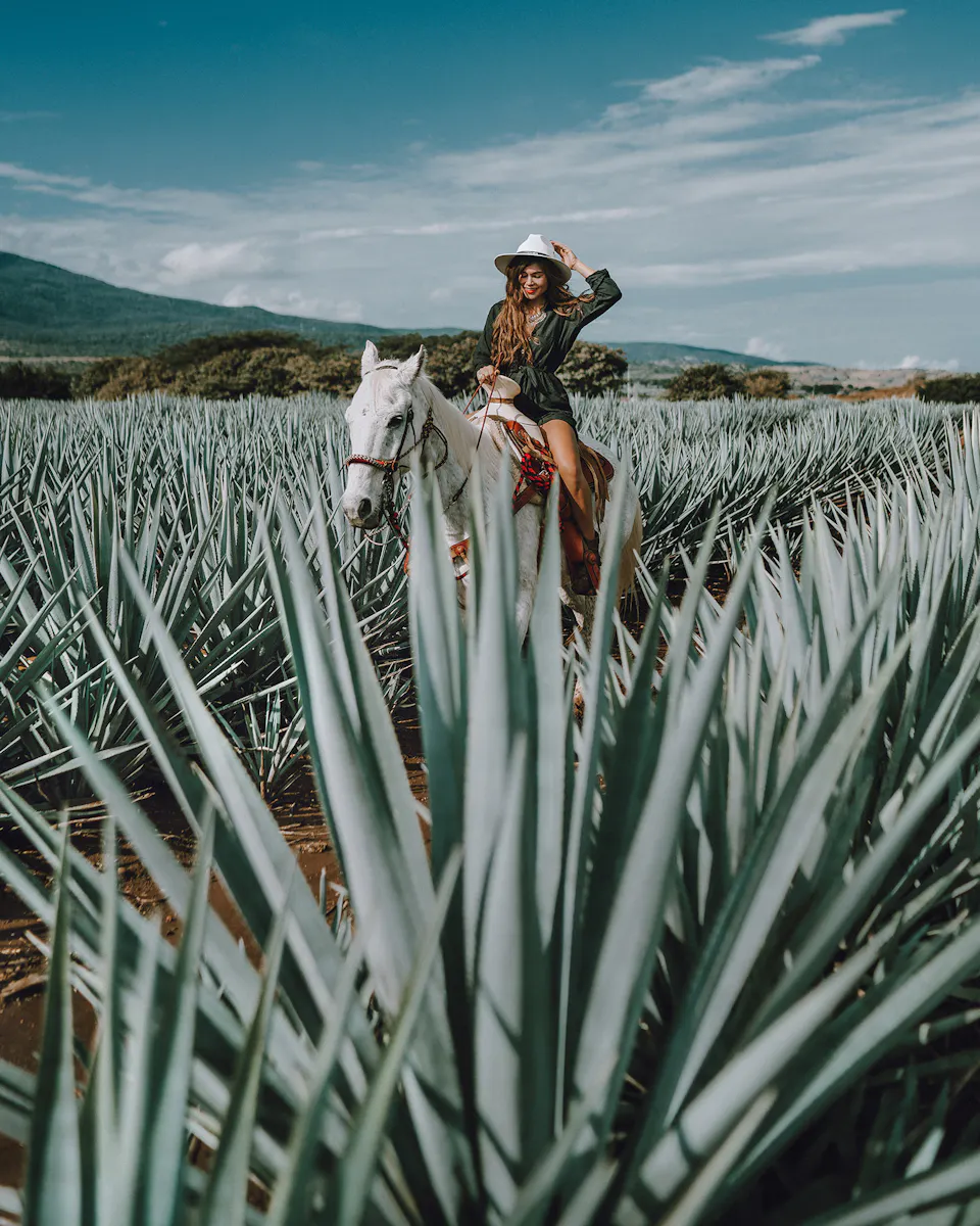 Horse Riding Vacations Around the World: Planning, Destinations, and Travel Tips