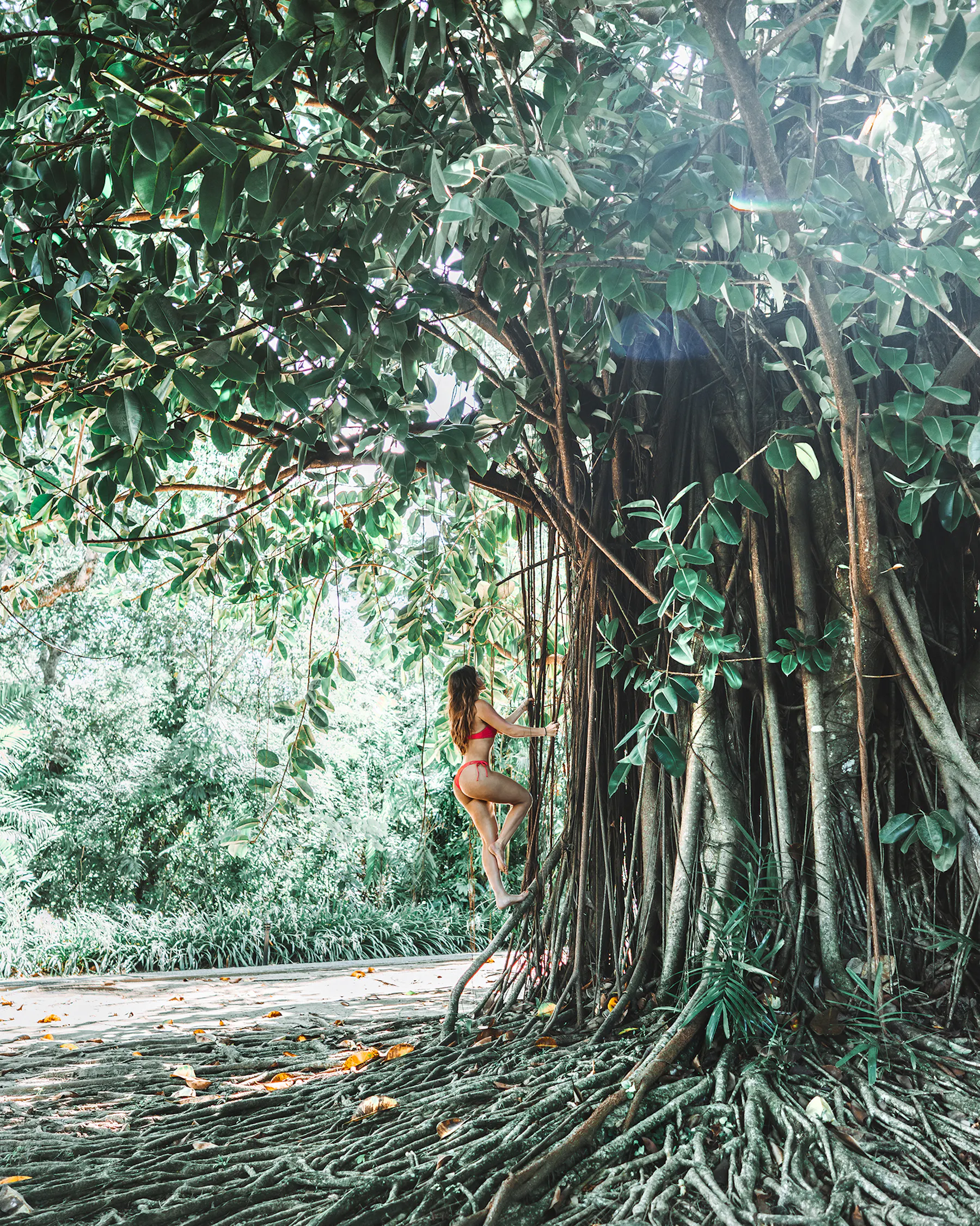Waking Up in Fiji - Sun, Sea, and Spas At the Shangri-La Fijian Resort