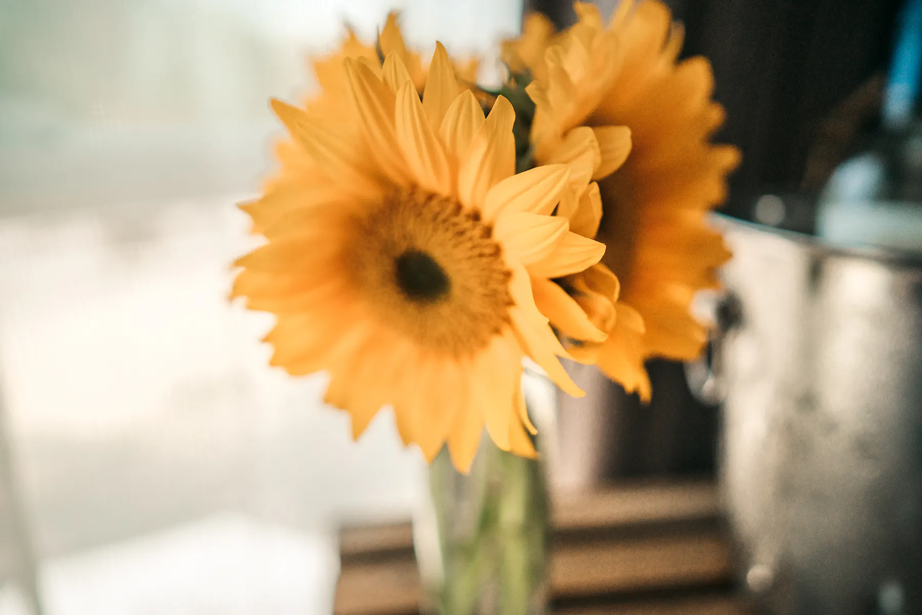 Film: A Morning Moment: Slow Travel, Sunlight, and a Peaceful Start