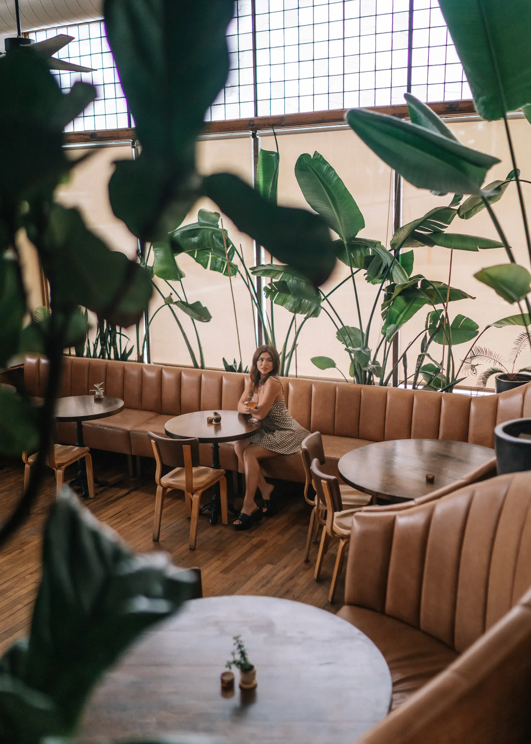 The Kansas City, Missouri Travel Guide