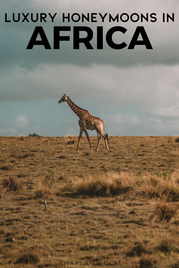 A luxury safari honeymoon in Africa is not only about wildlife; it is about the way adventure and romance merge seamlessly. These luxury safari destinations in Africa offer a balance of privacy, high-end accommodation, expert guiding, and the kind of once-in-a-lifetime encounters that elevate a honeymoon or couple’s vacation into something unforgettable. | luxury safari trip | africa honeymoon safari | africa honeymoon destinations | luxury safari in africa | luxury african safaris