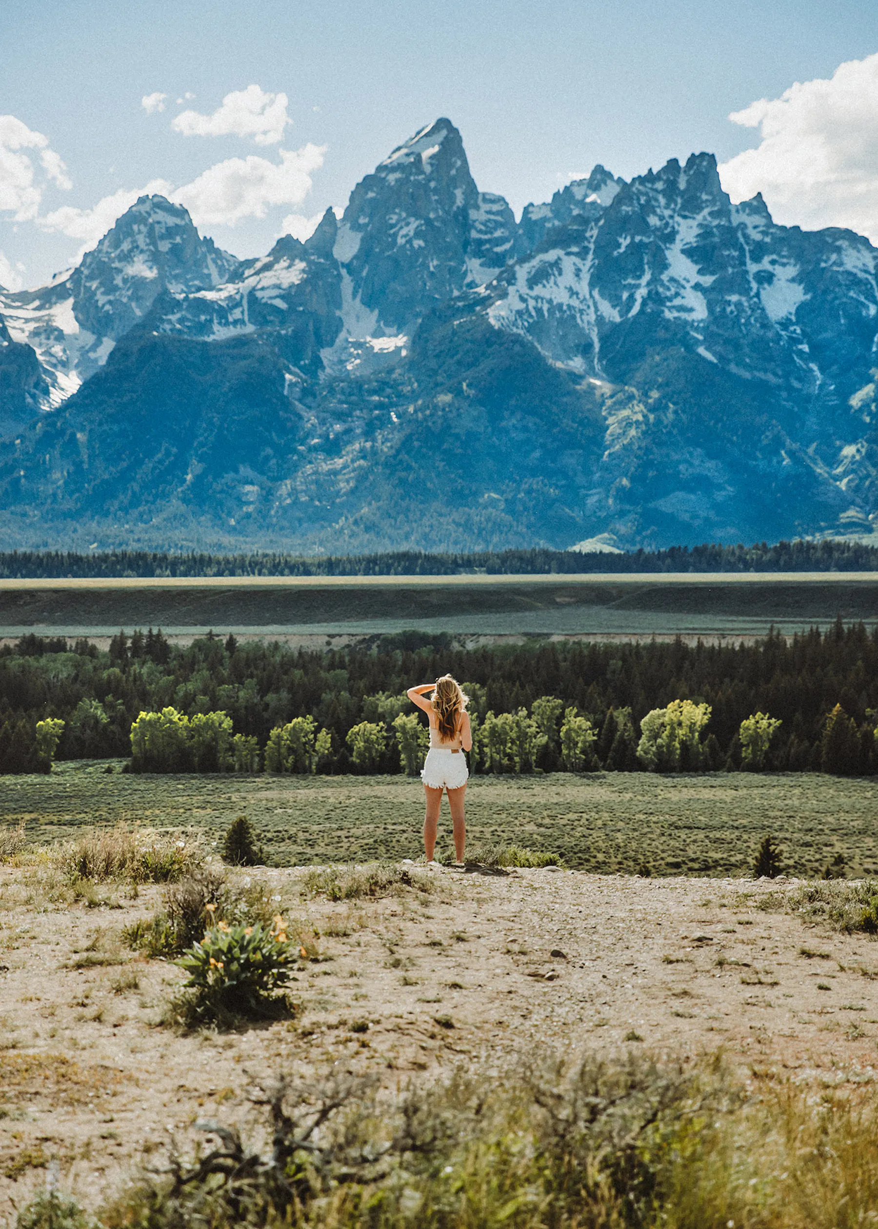 The Best Outdoor Vacations for Nature Lovers and Wildlife Adventurers 
