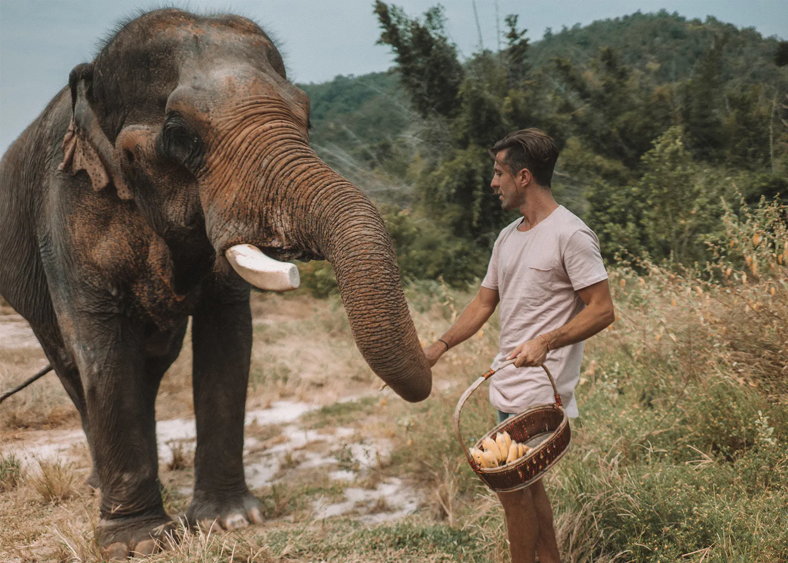 9 Best Wildlife Travel Destinations and Tours: Where to Go for Amazing Animal Encounters Around the World