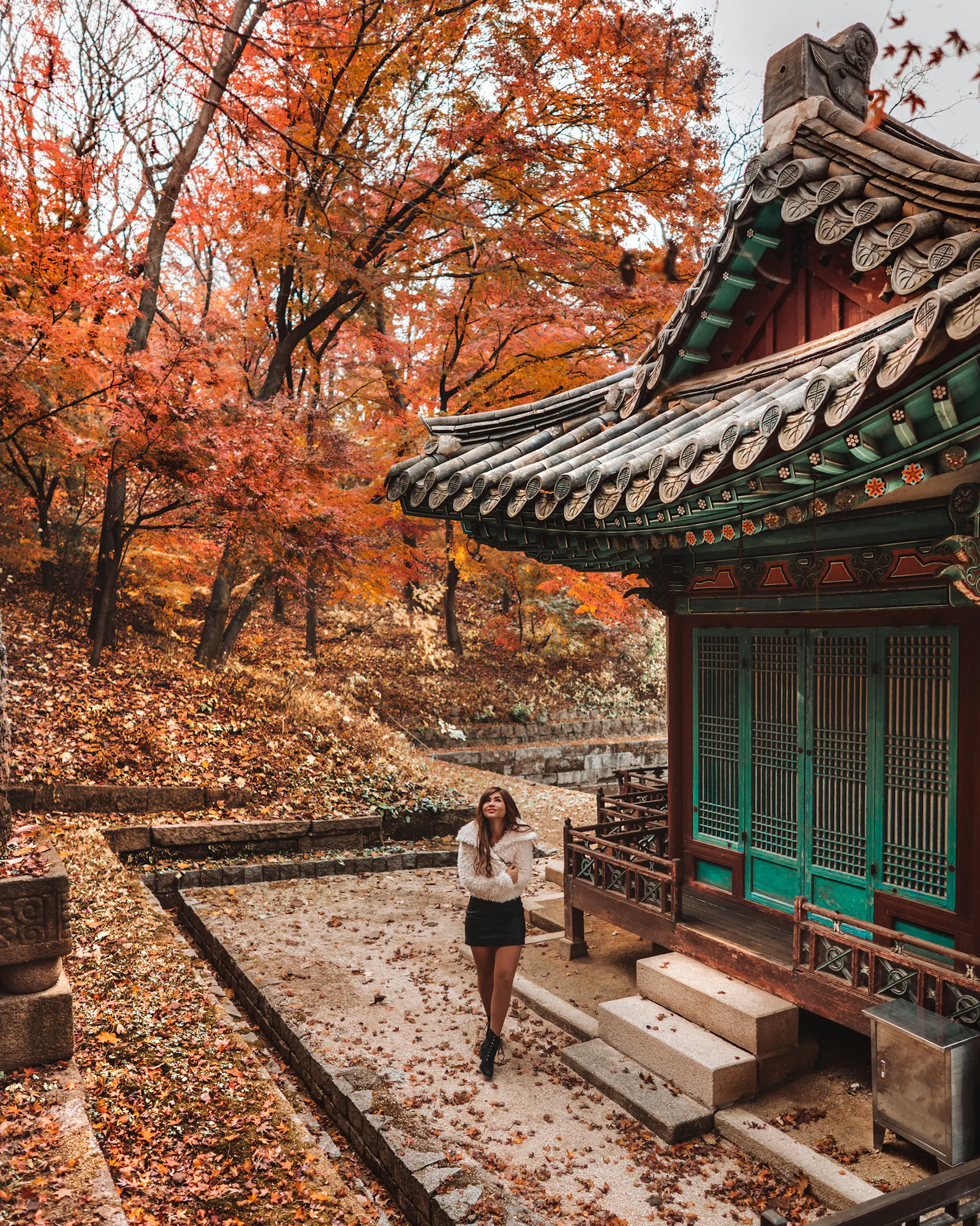 Seoul Fall Foliage Photo Guide: The 10 Best Places to See Autumn Colors