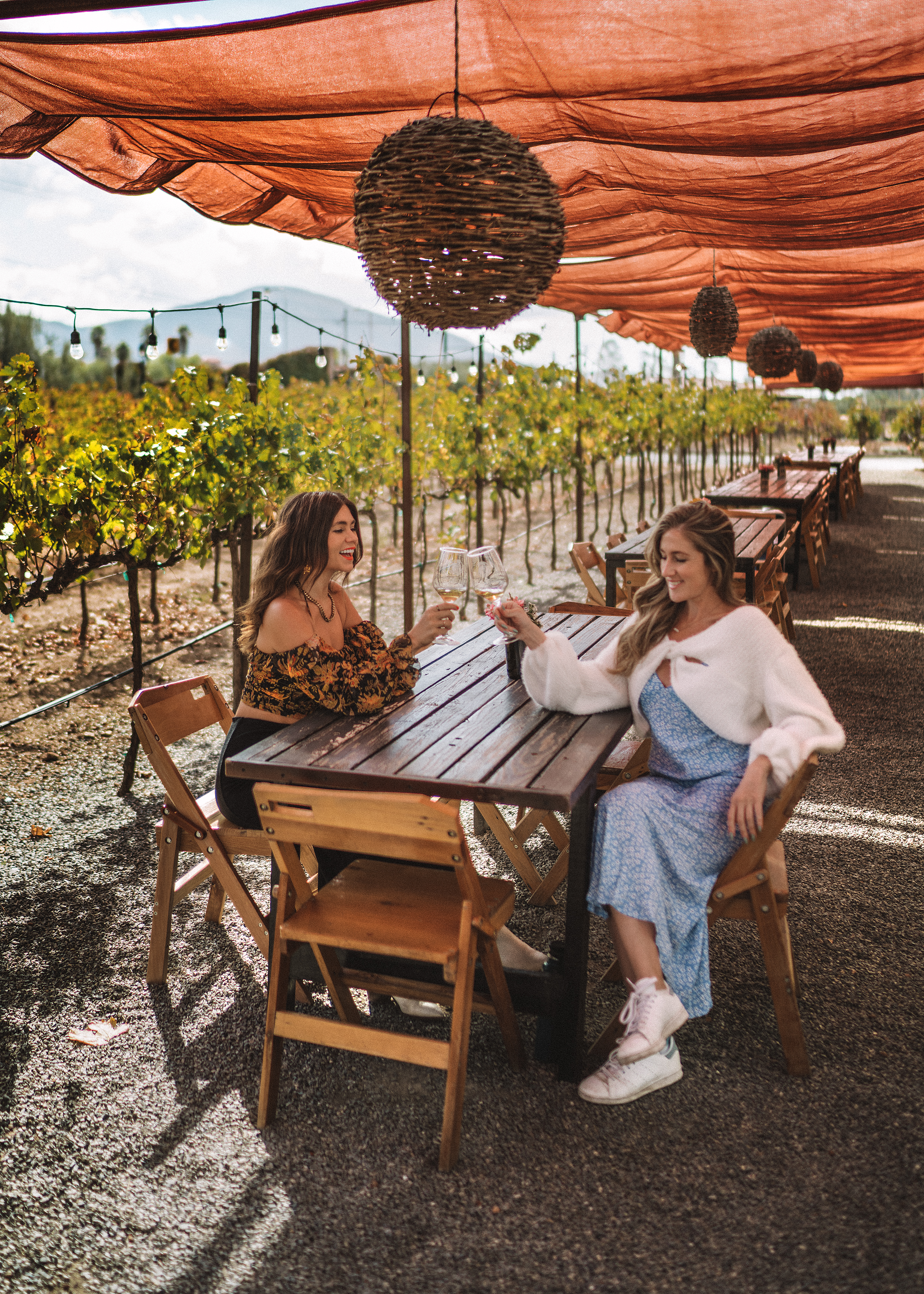 Vinos Lechuza  Valle de Guadalupe