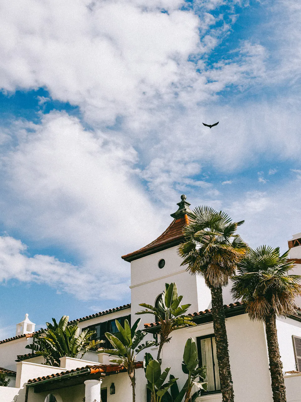 Before You Travel: How to Prepare Trees Around Your Home for Storms & Long Trips