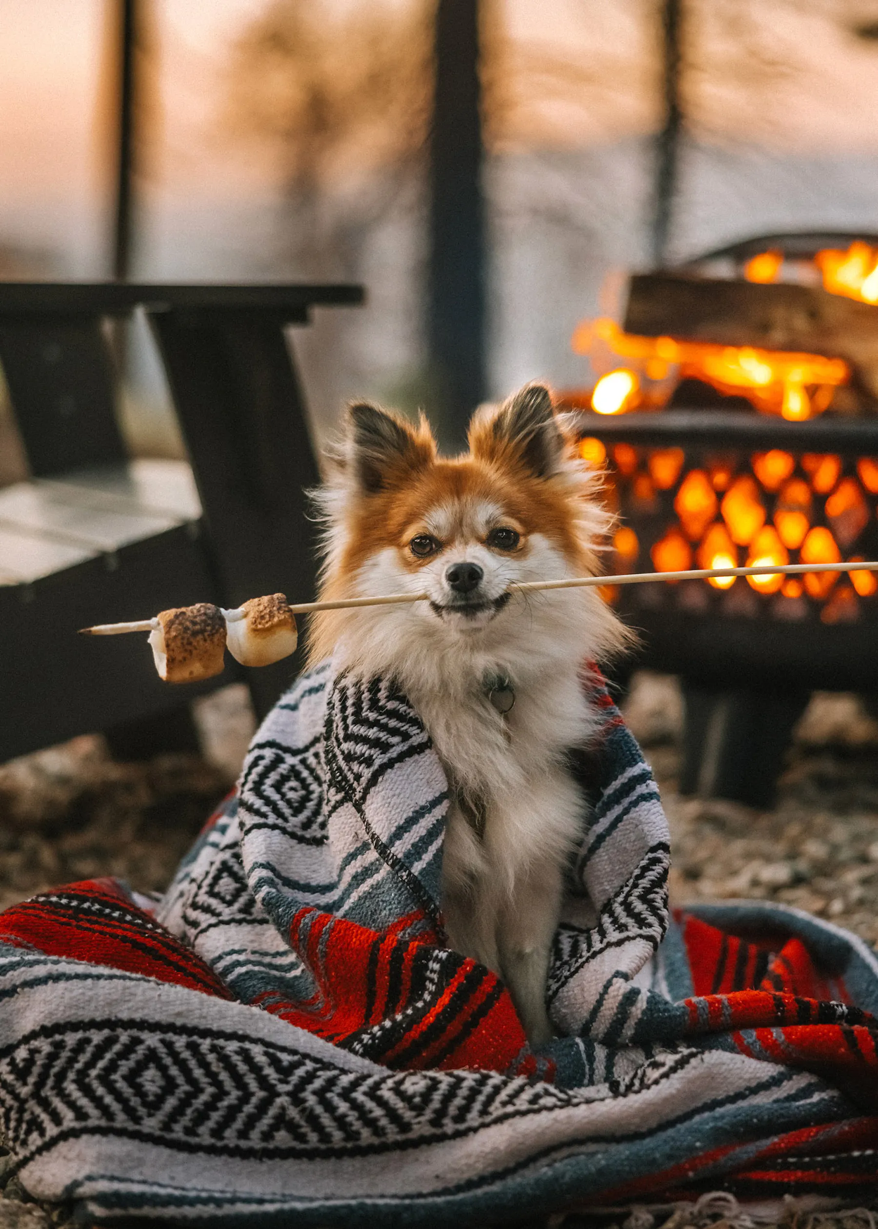 The Complete Camping Guide for Beginners - Tips, Equipment, and Essentials Checklist