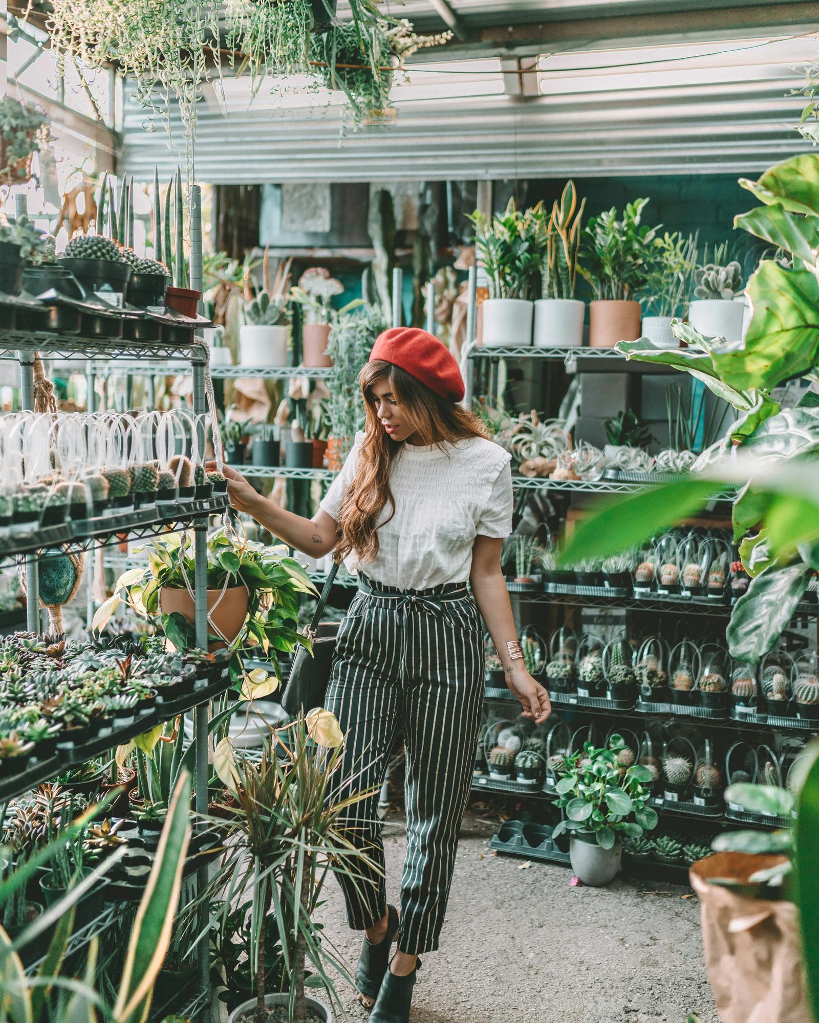 All of The Essential Houseplant Accessories Every Indoor Plant Lover Needs Away Lands