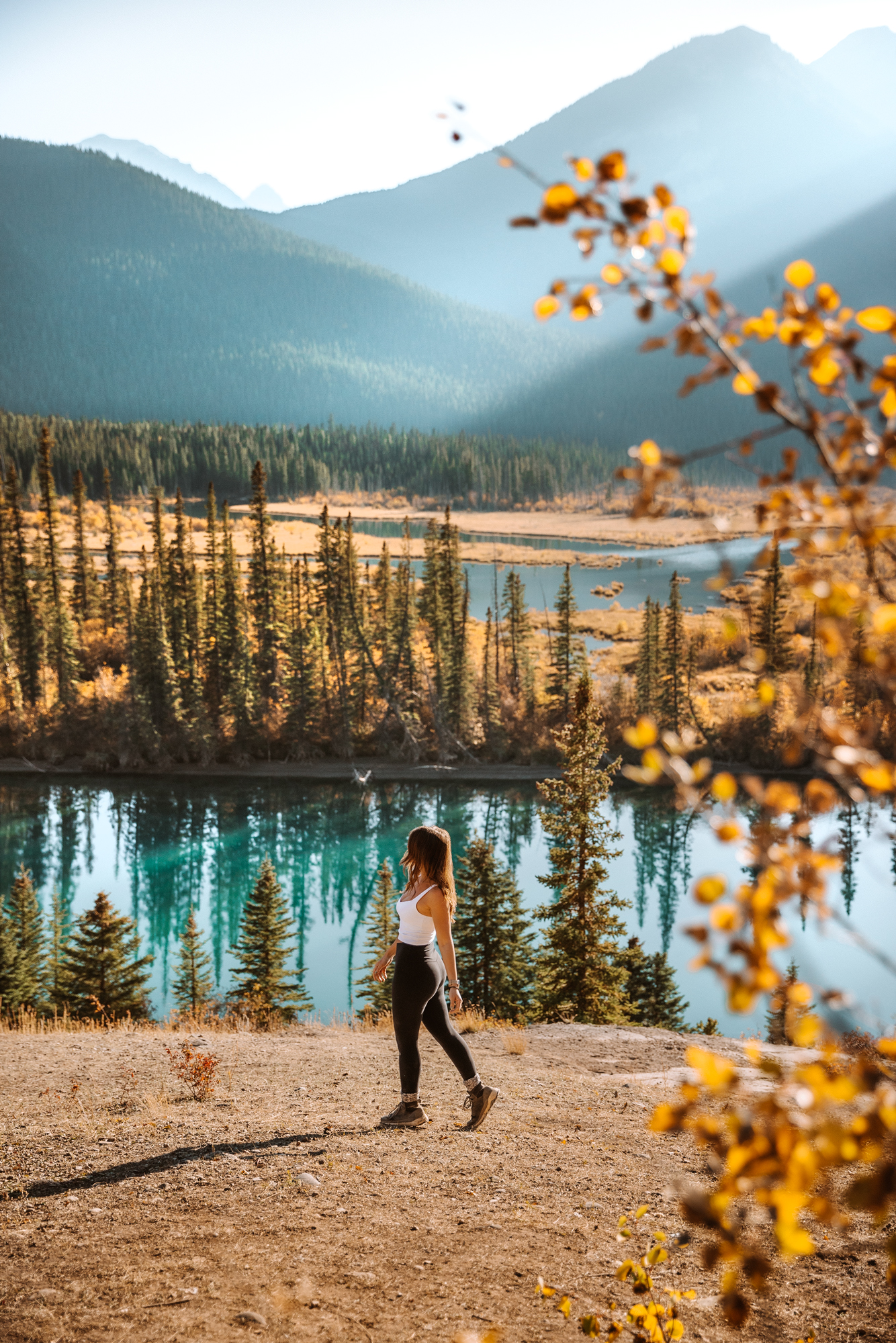 The Ultimate Canada Rocky Mountains Road Trip Itinerary - A Fall Leaves  Travel Guide