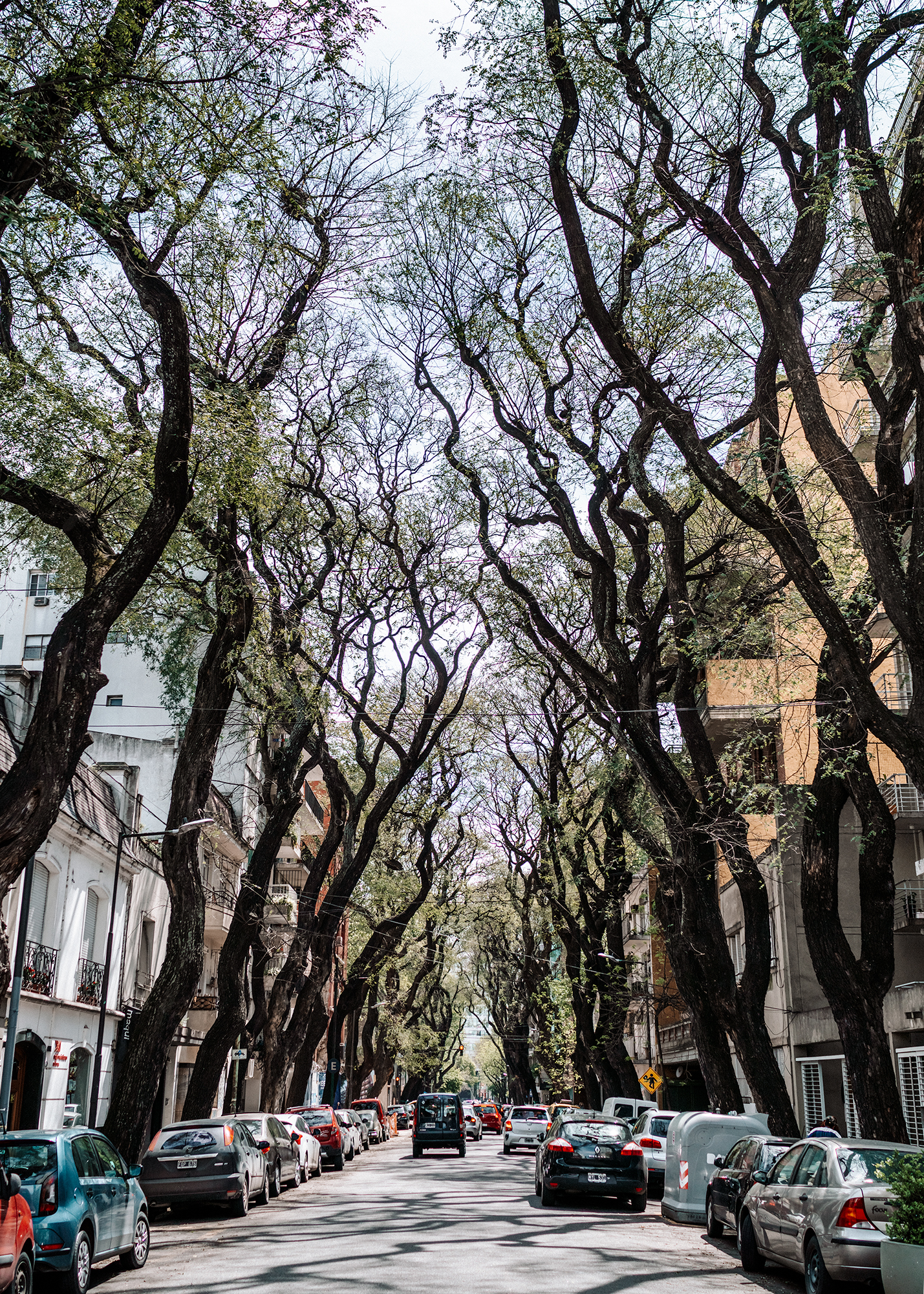 A Guide to Buenos Aires — LAIDBACK TRIP