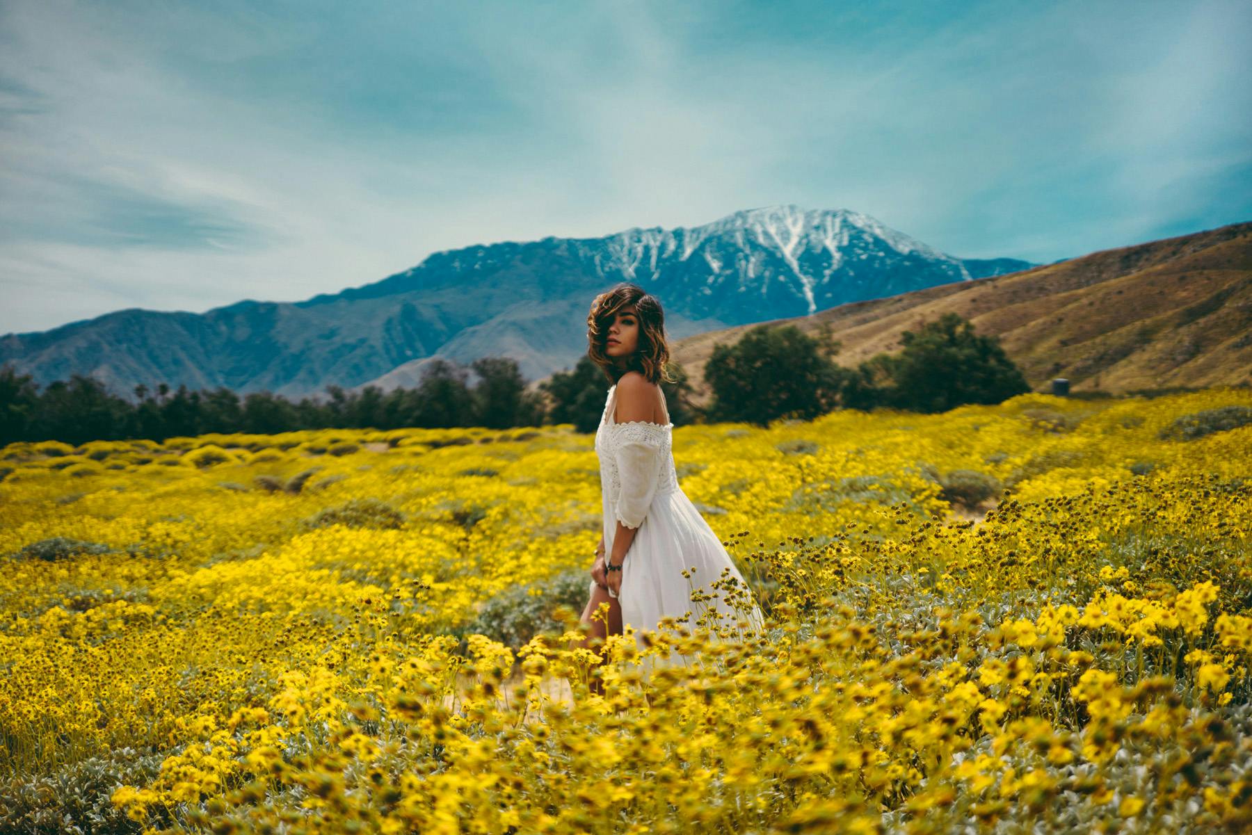 Blooms In The Coachella Valley Away Lands