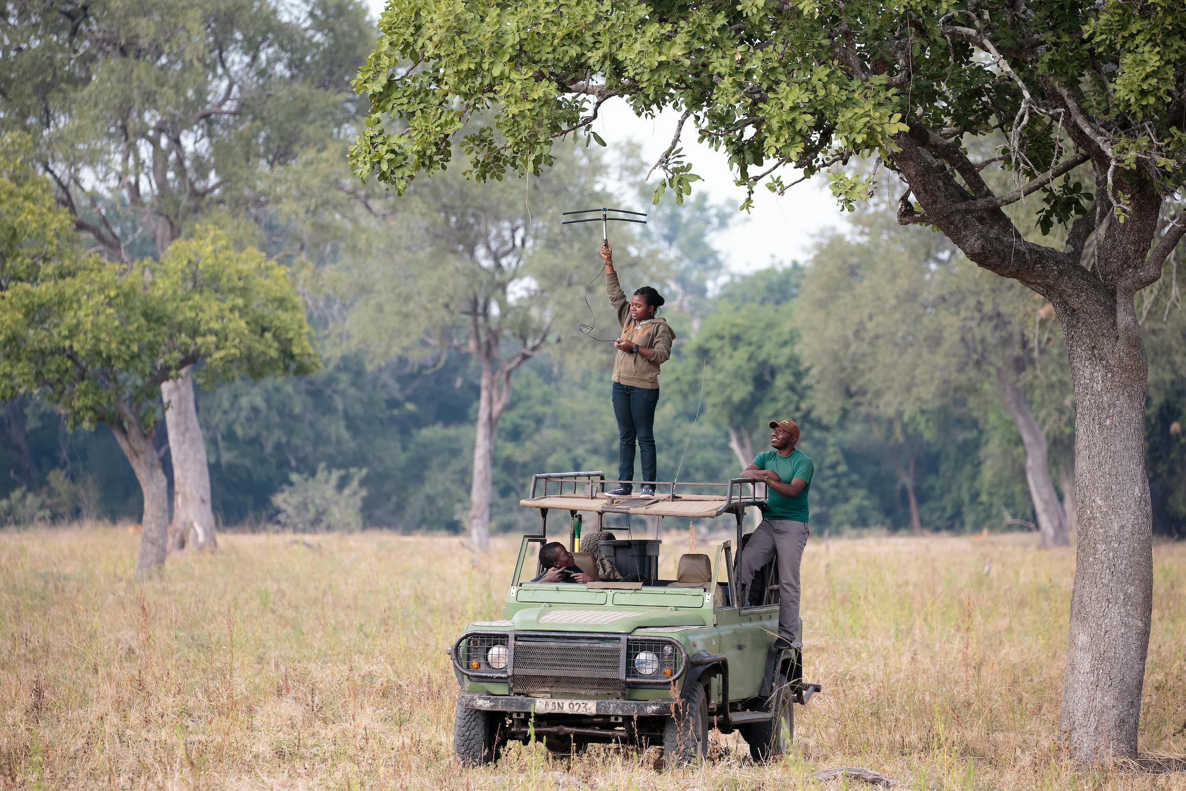 Emergency funding for anti-poaching and human-wildlife conflict