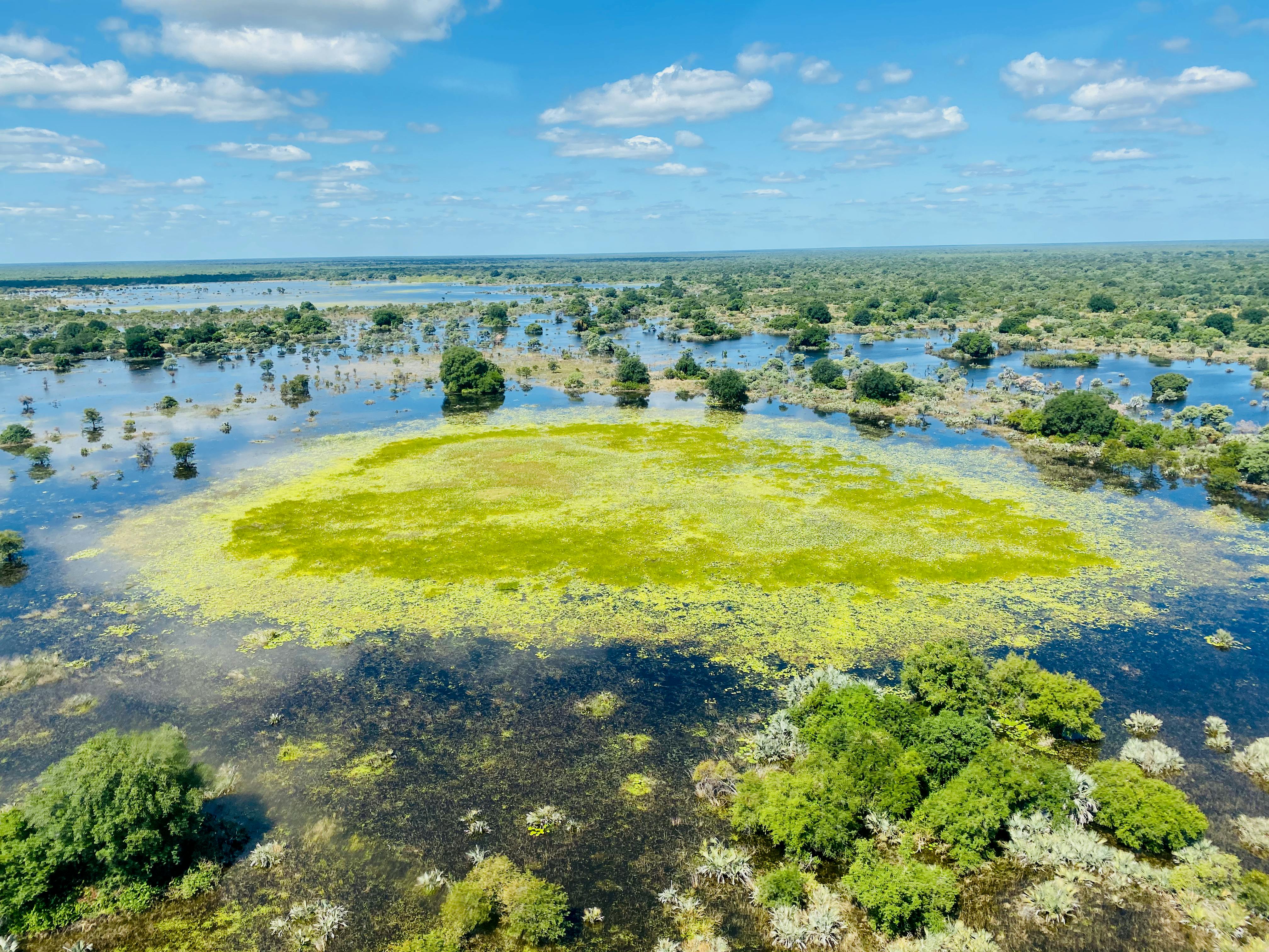 The Shrinking Conservation Potential of Beautiful, Troubled Mozambique 