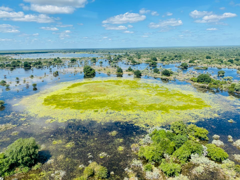 The Shrinking Conservation Potential of Beautiful, Troubled Mozambique ...