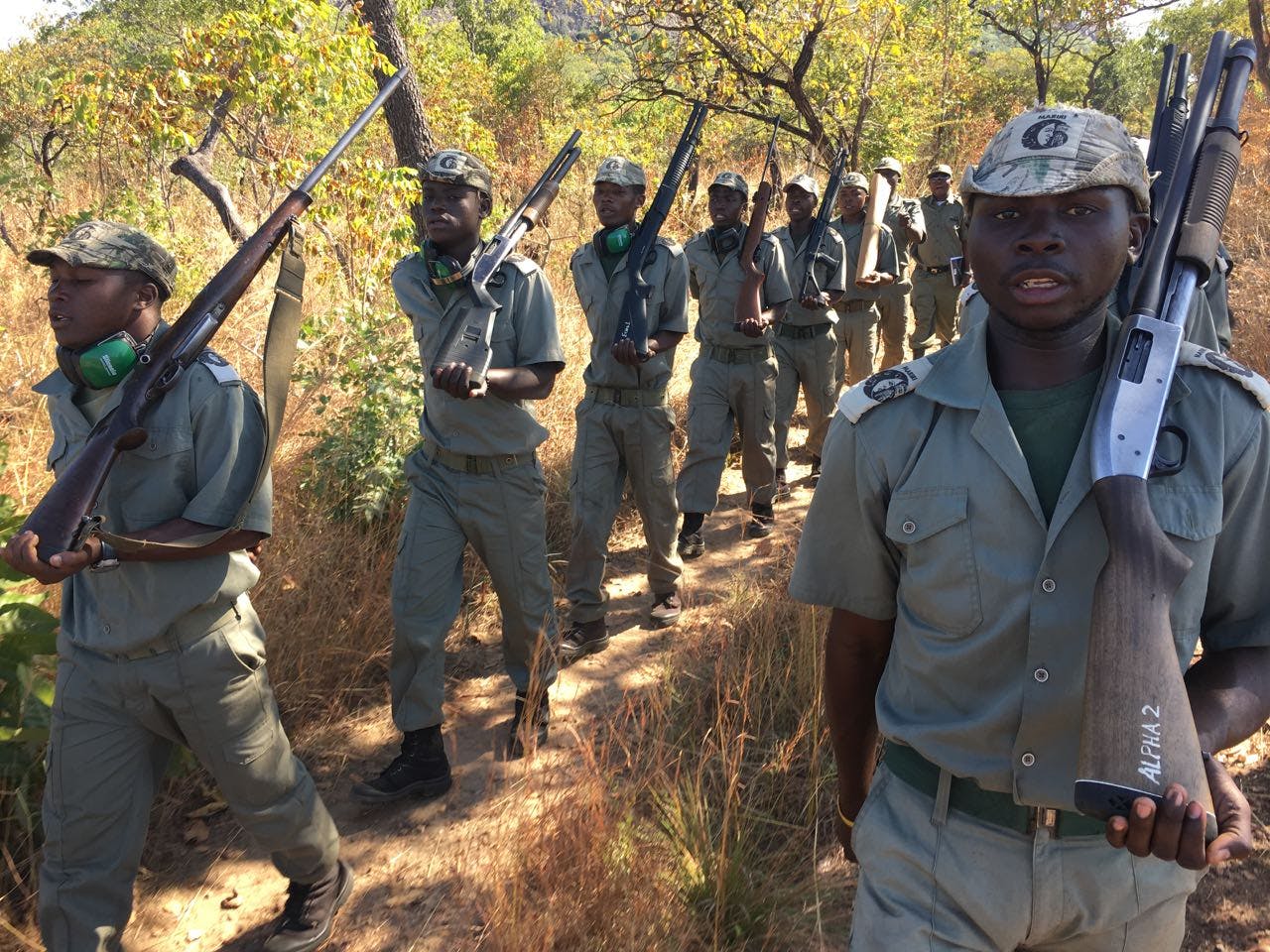 Emergency support for law enforcement in Niassa National Reserve