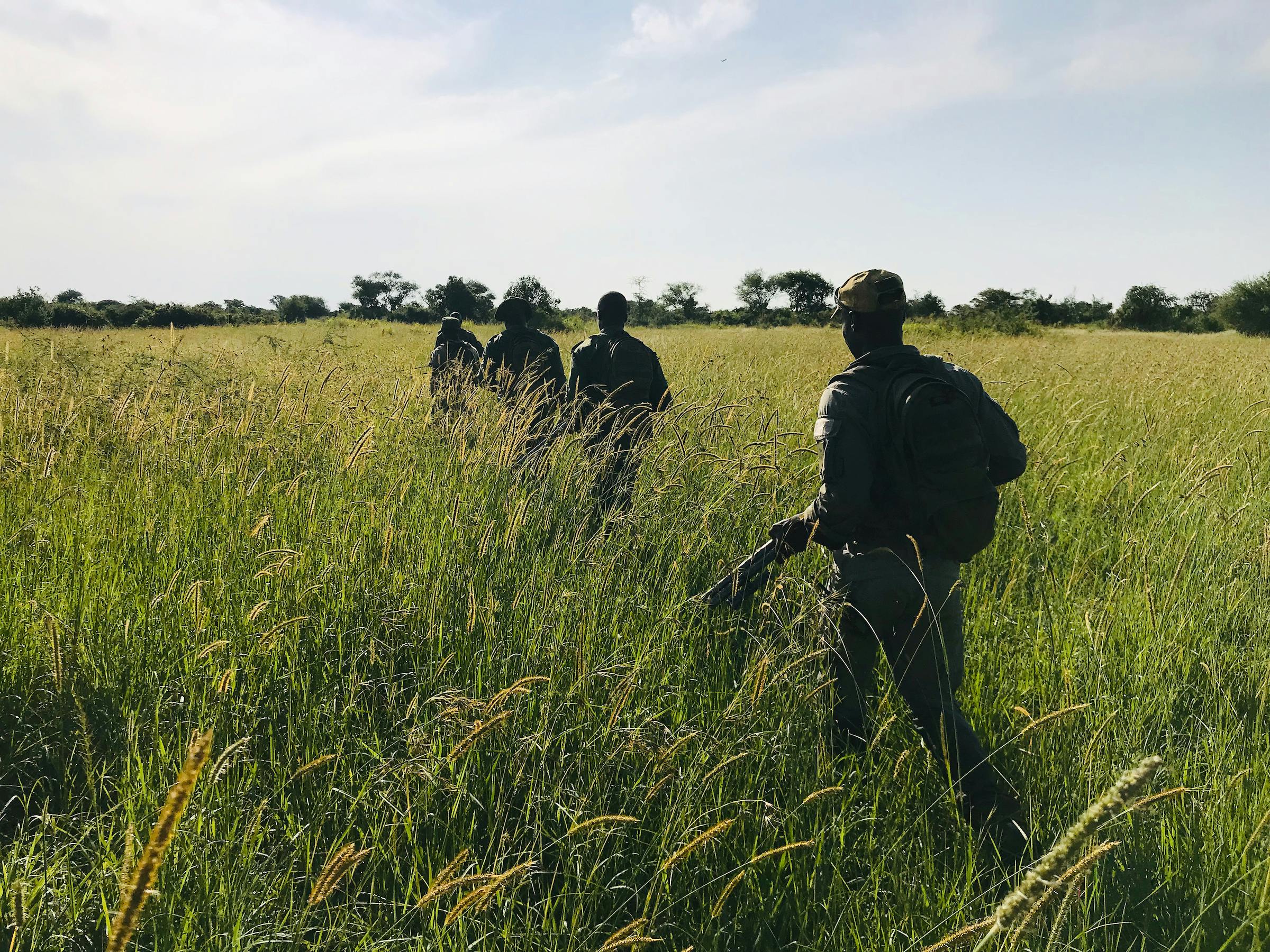 Africa S Rangers Guardians Of The Wilderness Lion Recovery Fund