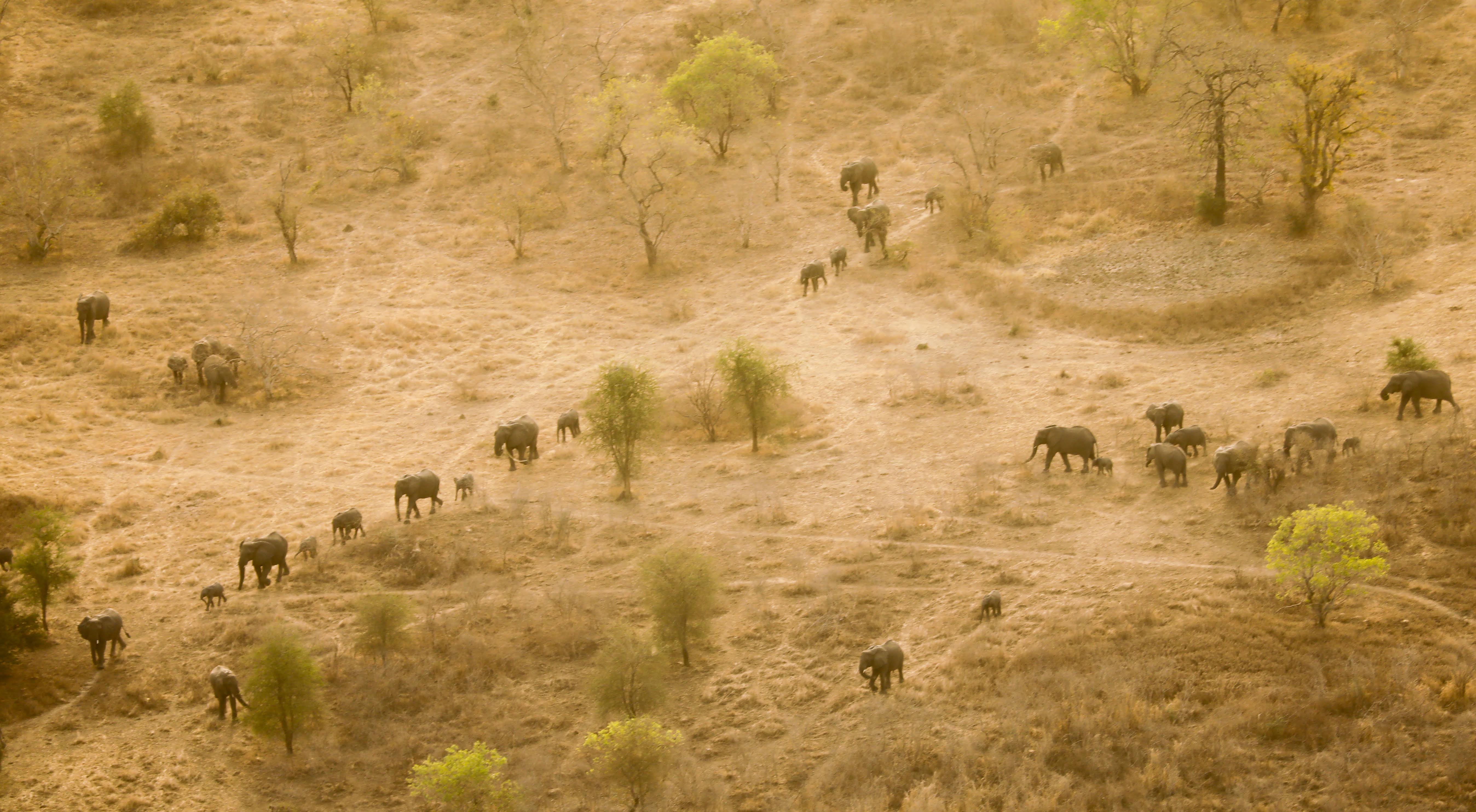 Zakouma National Park, Jewel Of The Sahel | Lion Recovery Fund