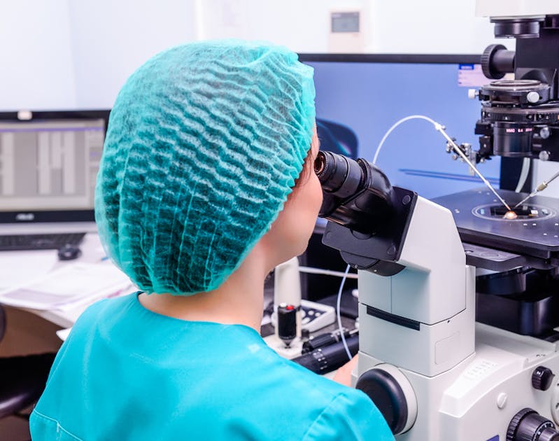 Global Innovations in the In Vitro Fertilization Process Empowered