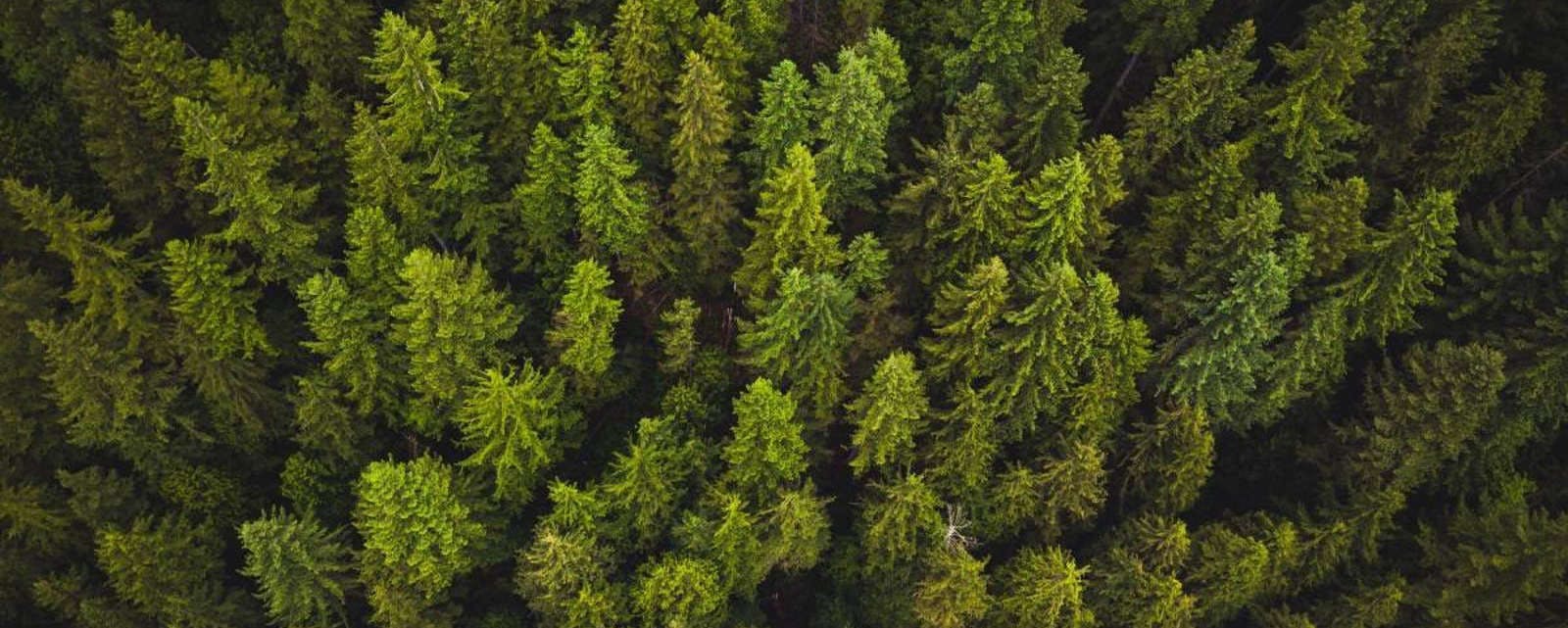 Are you a woman who is part of the land preservation movement?