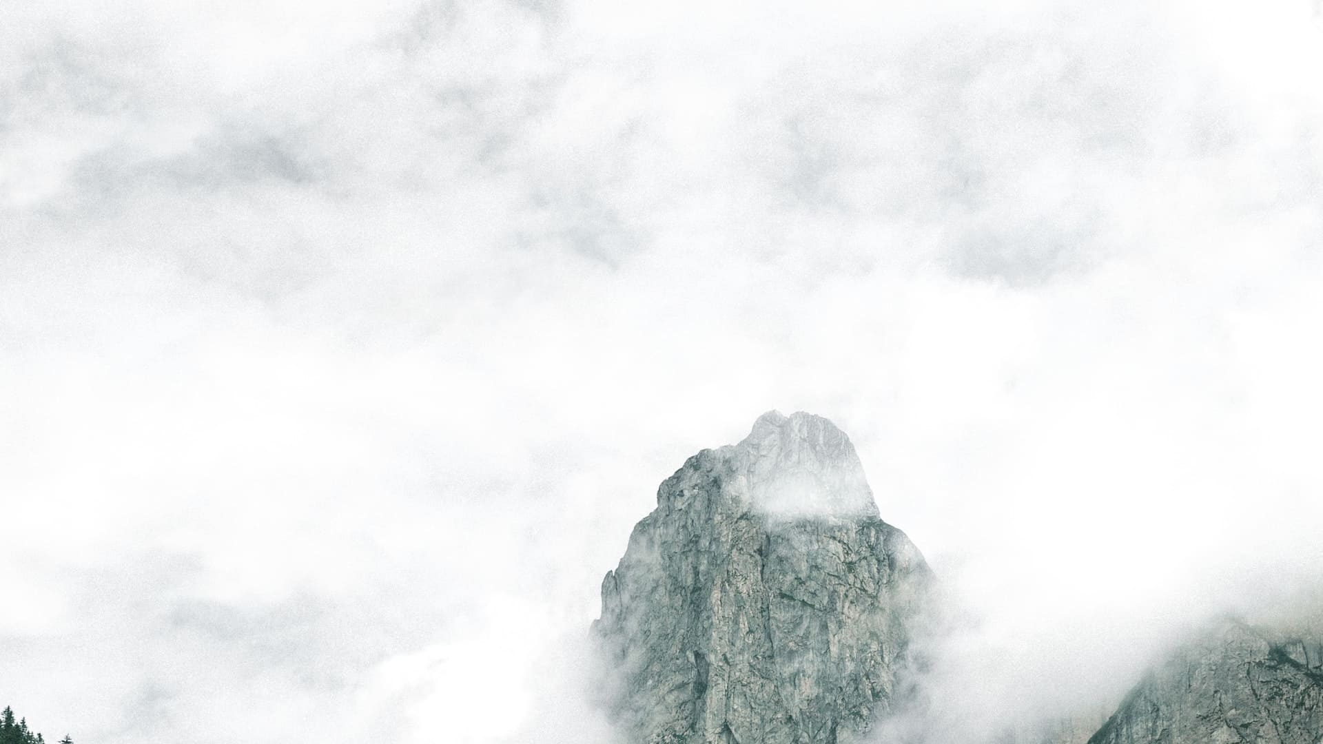 somi hero main image