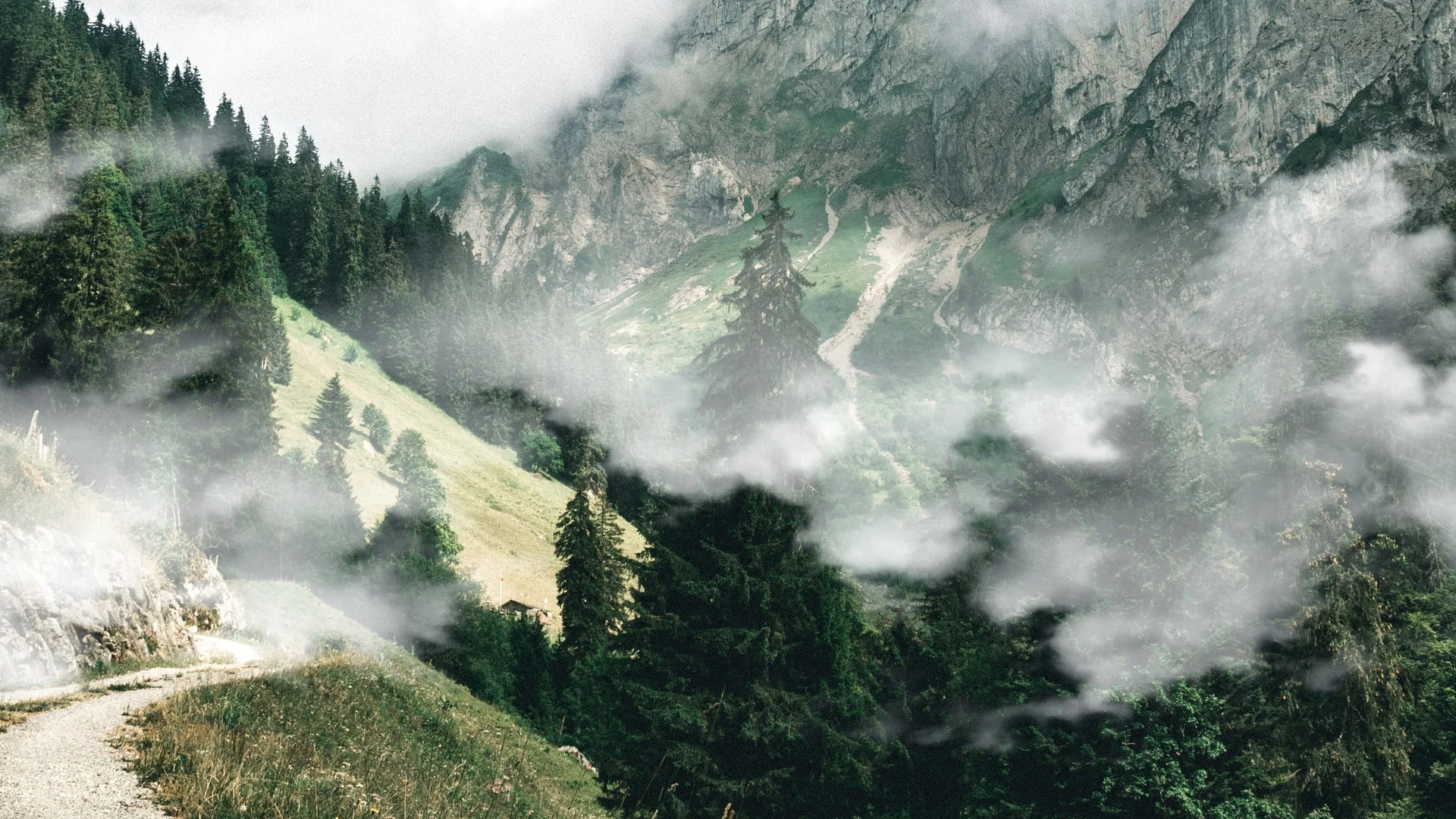 somi services hiking