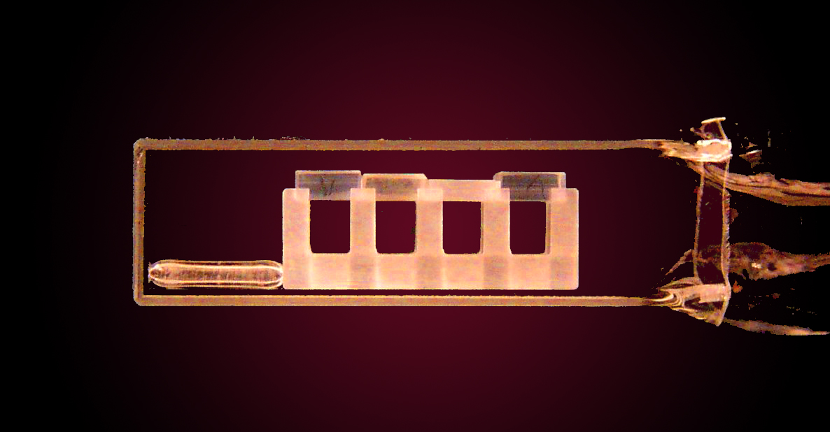 A vacuum chamber apparatus that captures cloud of ultracold atoms in a Bose-Einstein Condensate (BEC), which form a few micrometers below the glass pieces within the chamber. 