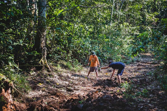 Two men dig for worms in Madidi National Park, Bolivia 