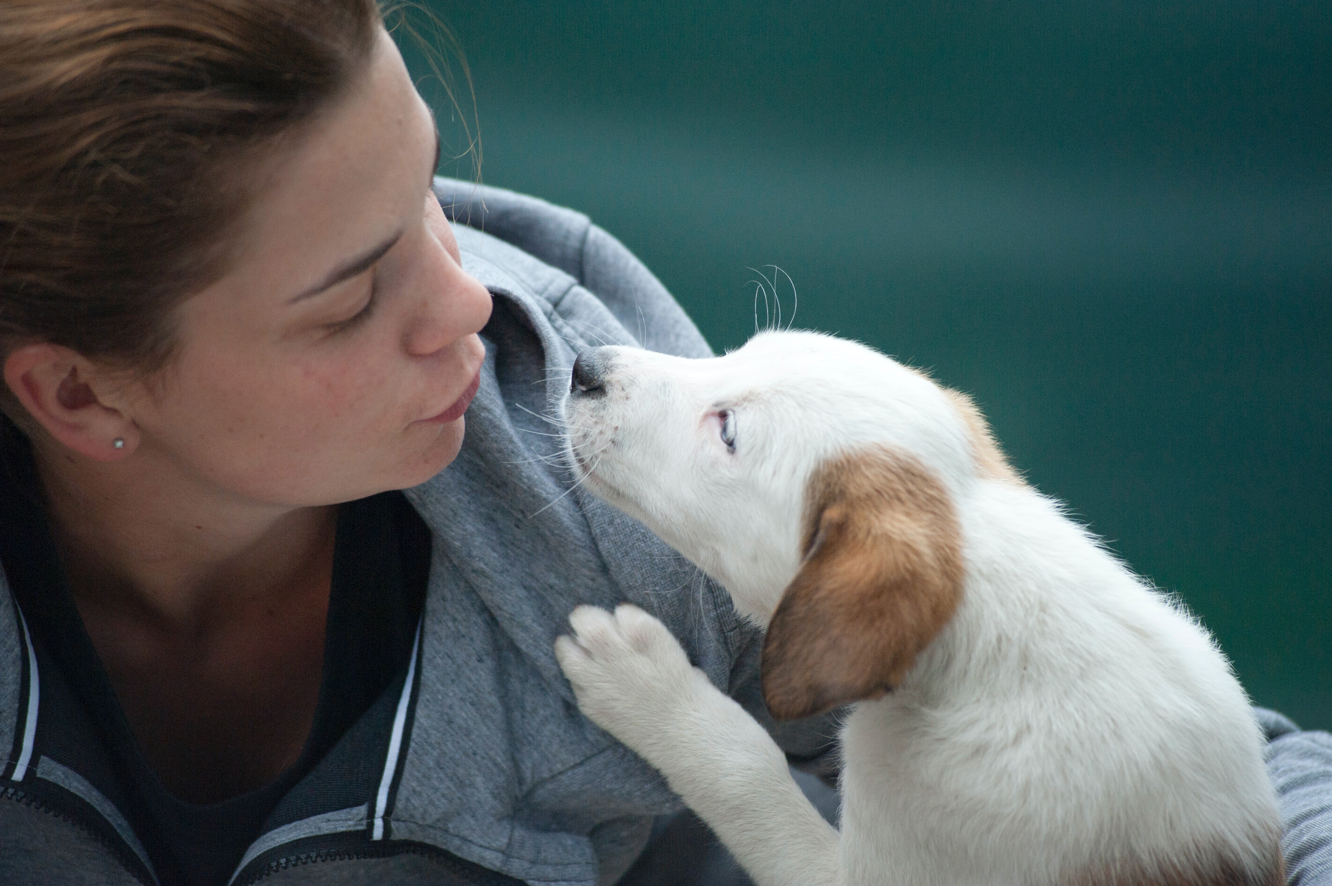 woman kissing a white puppy with its paw on her jacket