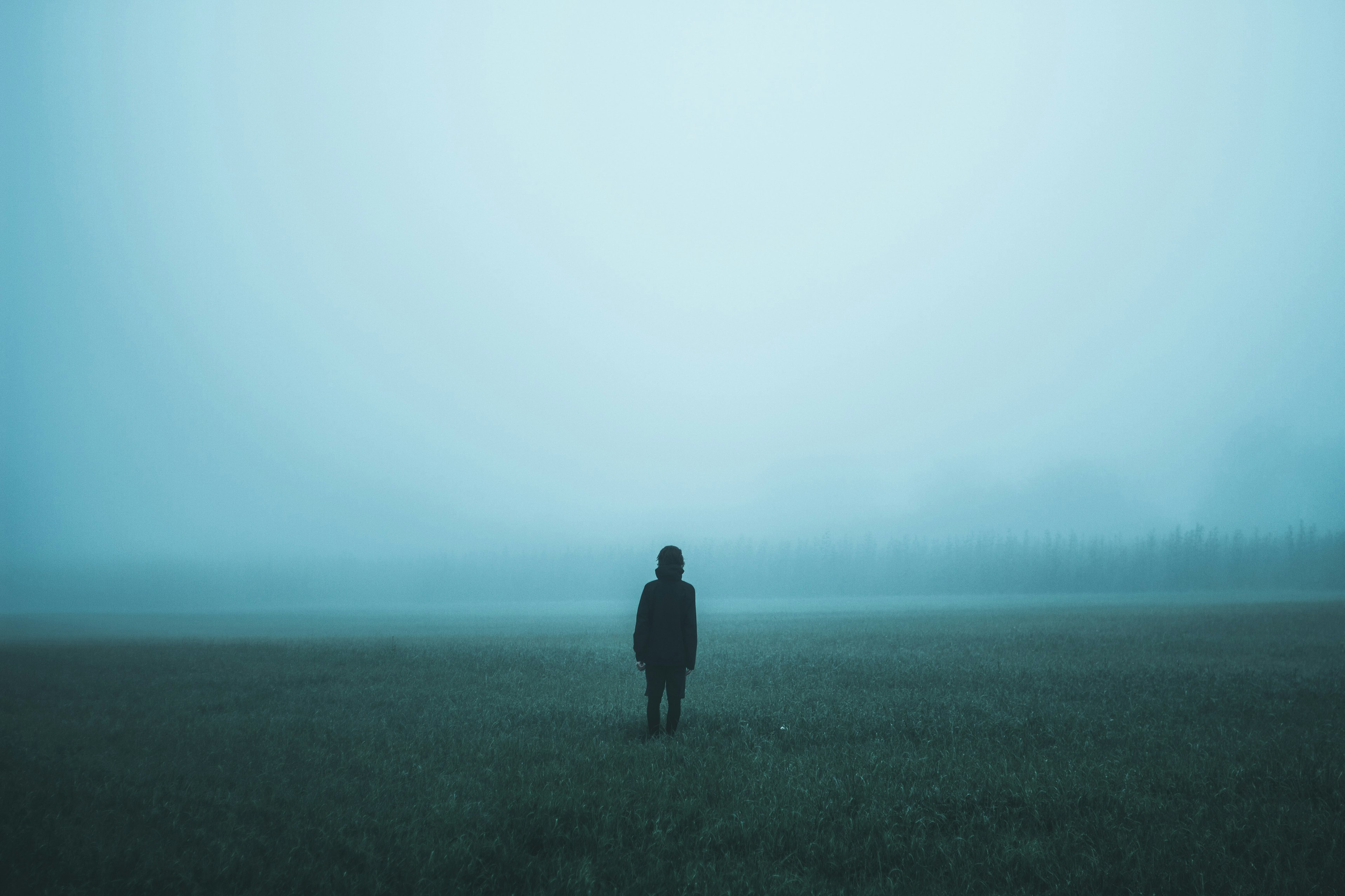 a person standing in a field surrounded by fog