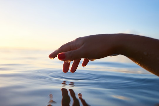touch hand touching water