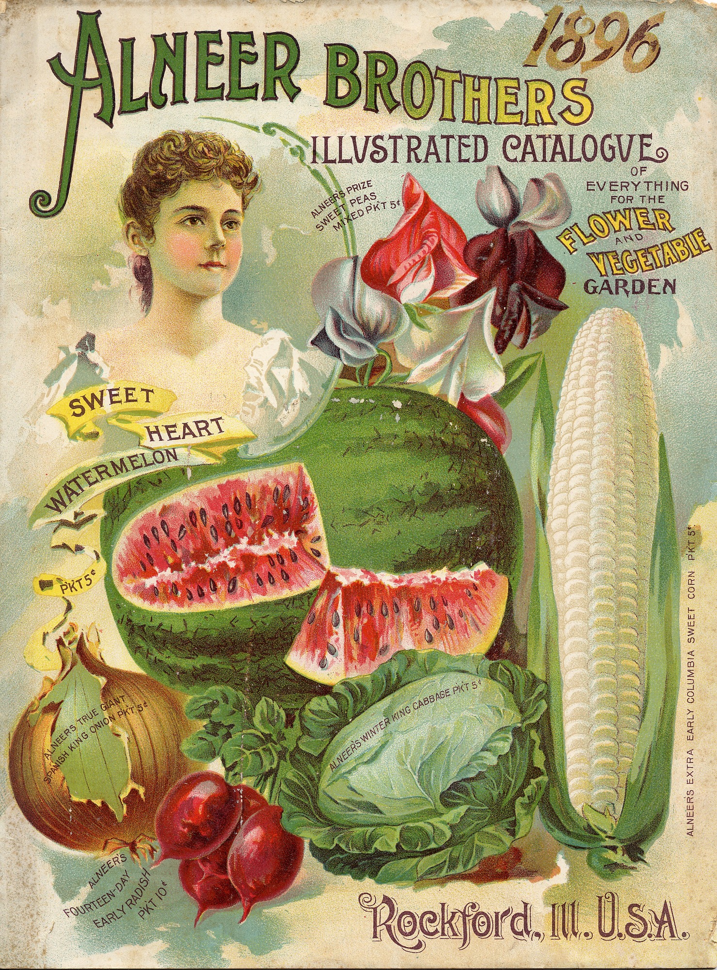 seed catalog image