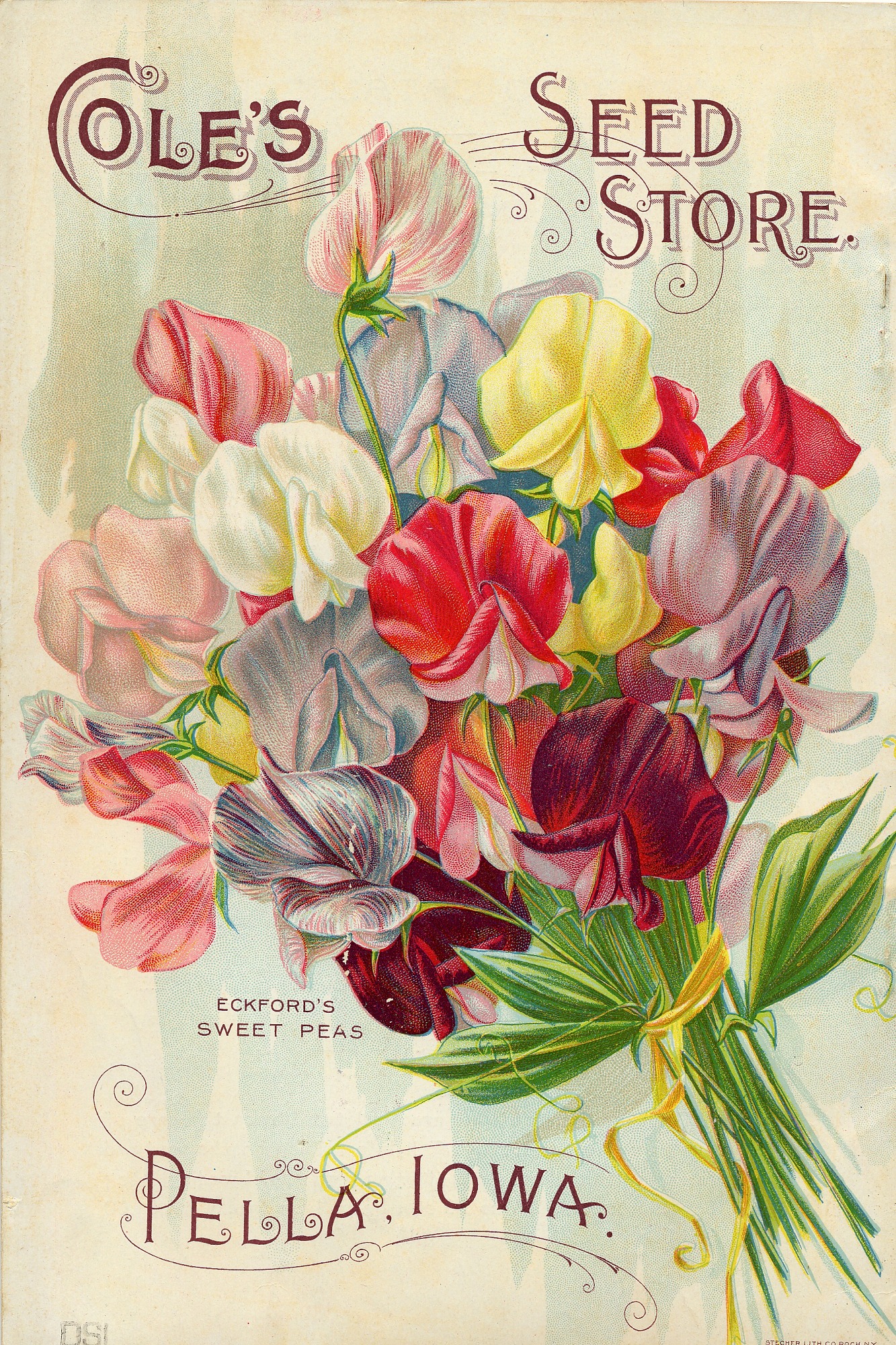 seed catalog image of flowers