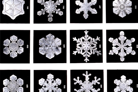 twelve close ups of snowflakes against black backgrounds