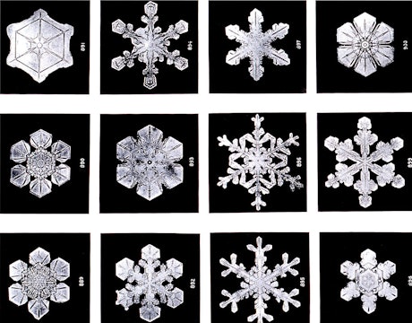 twelve close ups of snowflakes against black backgrounds