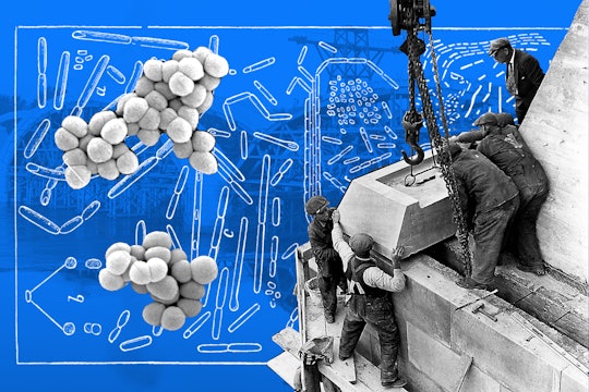 microbe collage