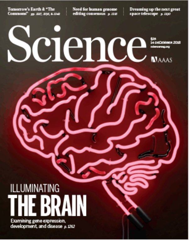 Cover of Science magazine for the PsychENCODE issue
