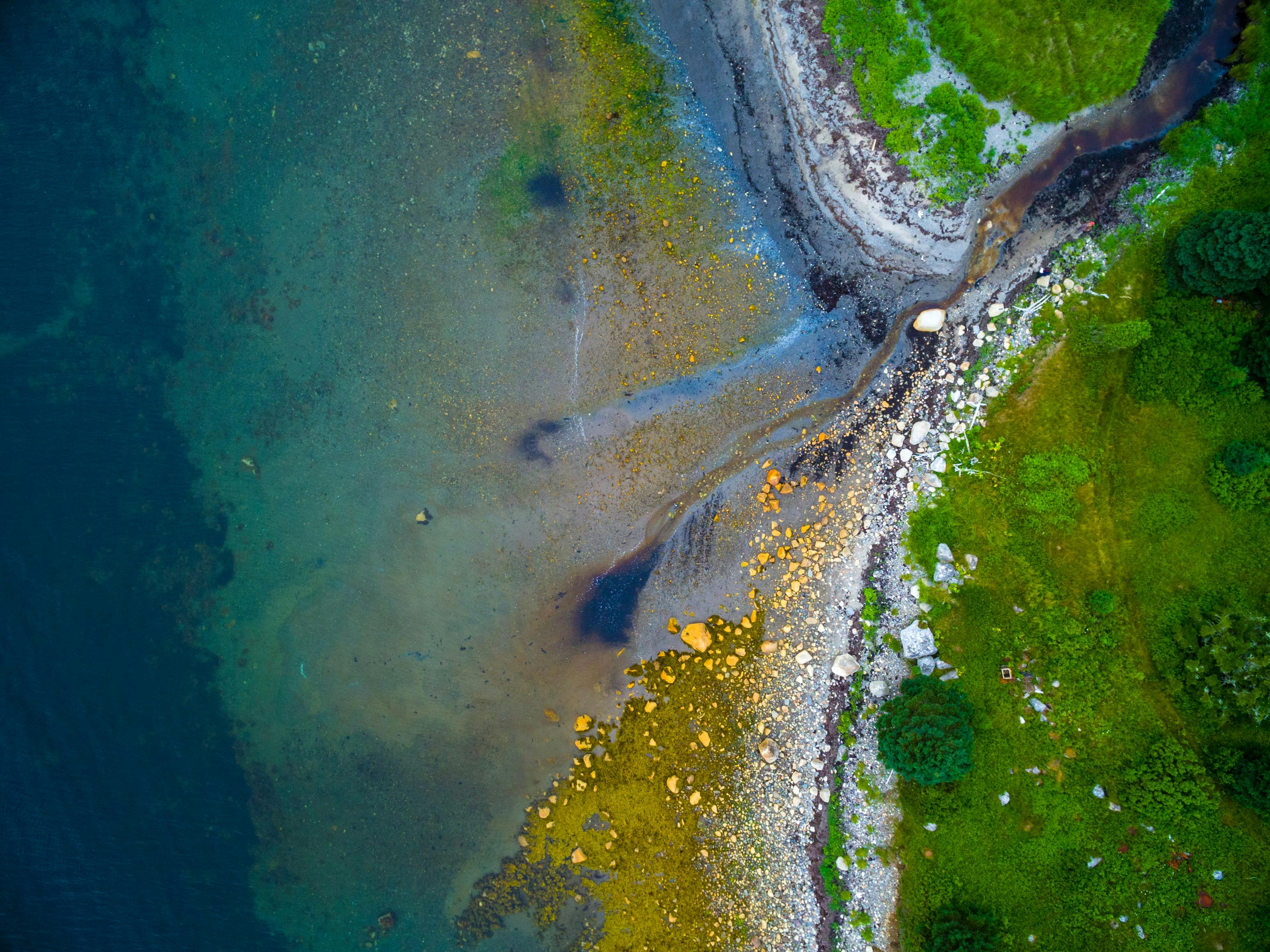 Different colors of water along the shore at Point Felix, NS, Canada